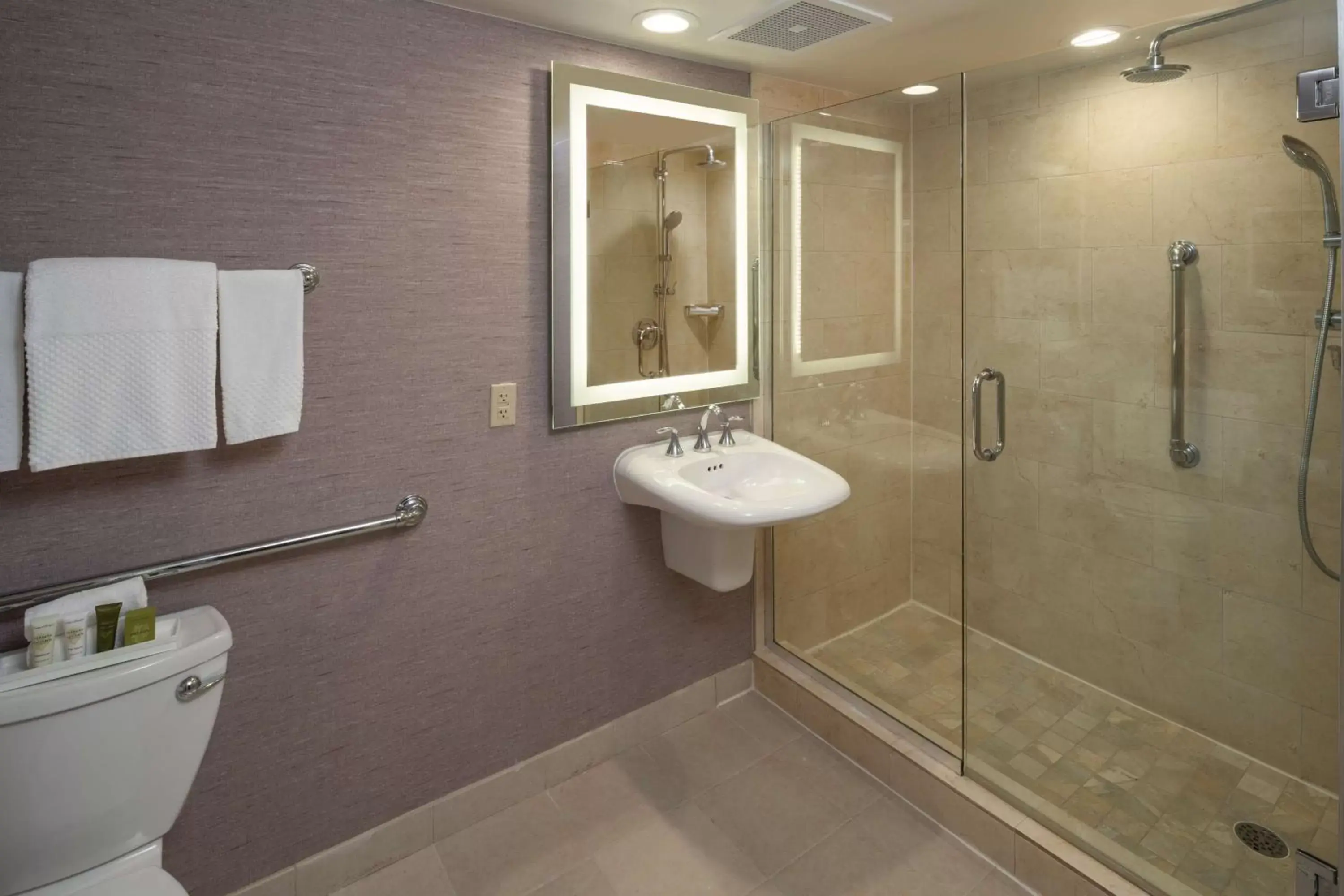 Bathroom in Hilton Washington DC/Rockville Hotel & Executive Meeting Center