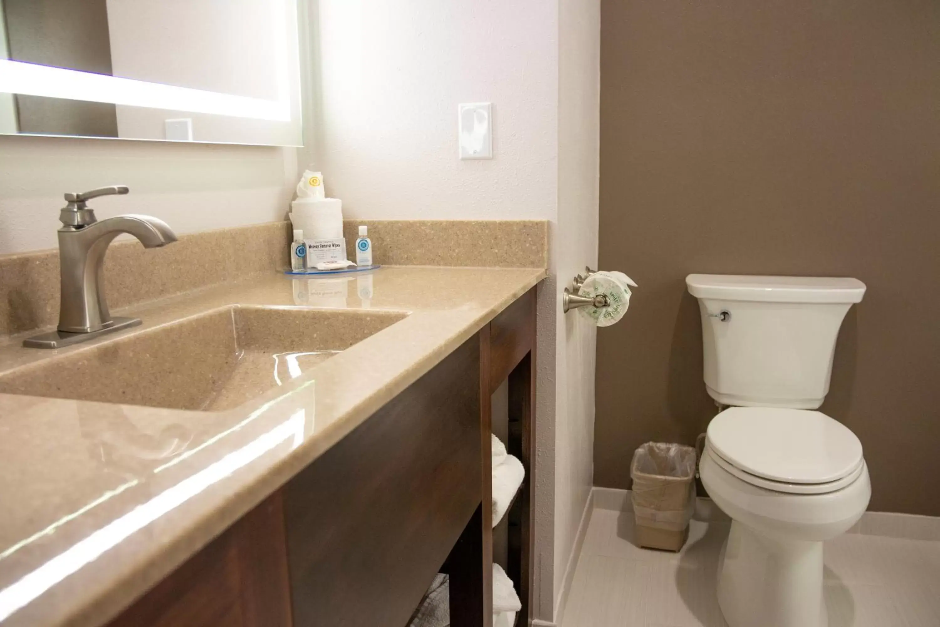 Toilet, Bathroom in Comfort Inn Sioux City South