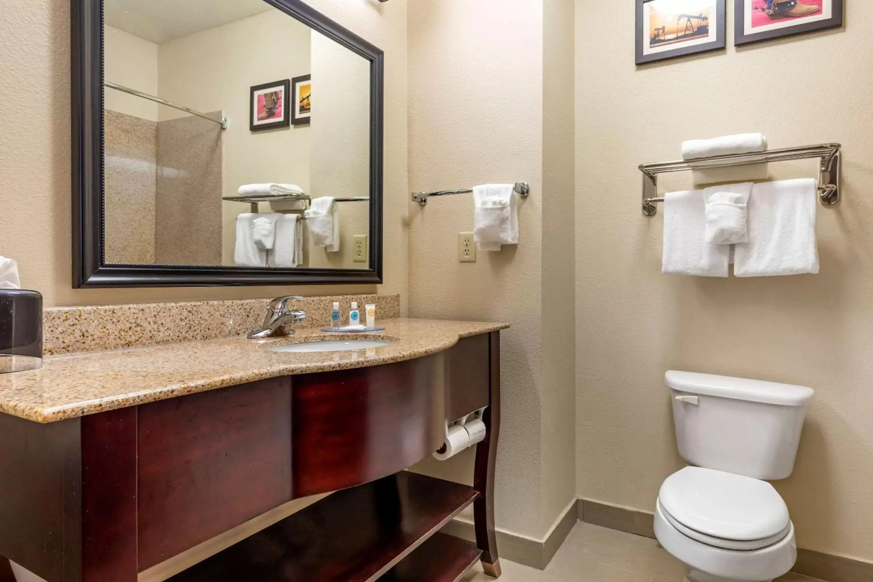 Bathroom in Comfort Inn Near UNT