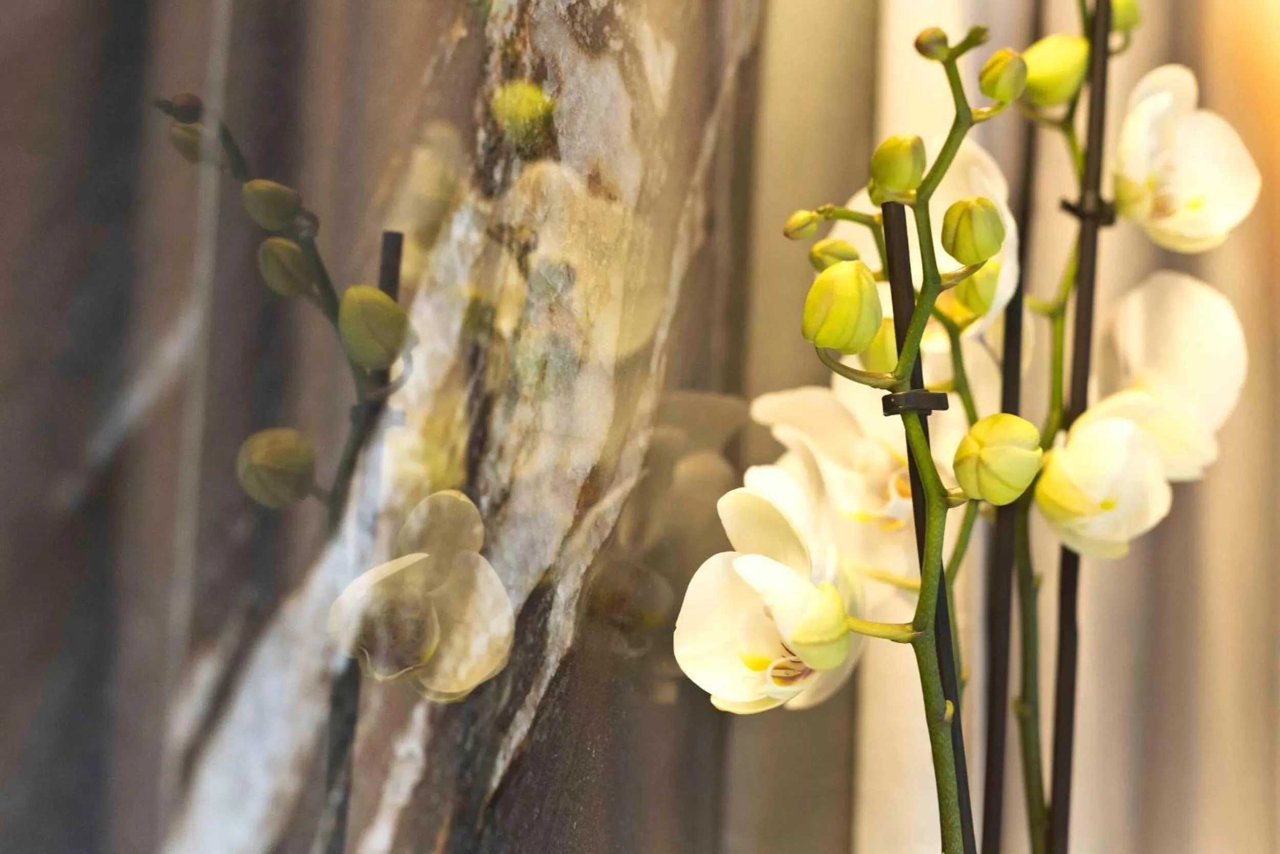 Decorative detail in Boutique Hotel Sirmione