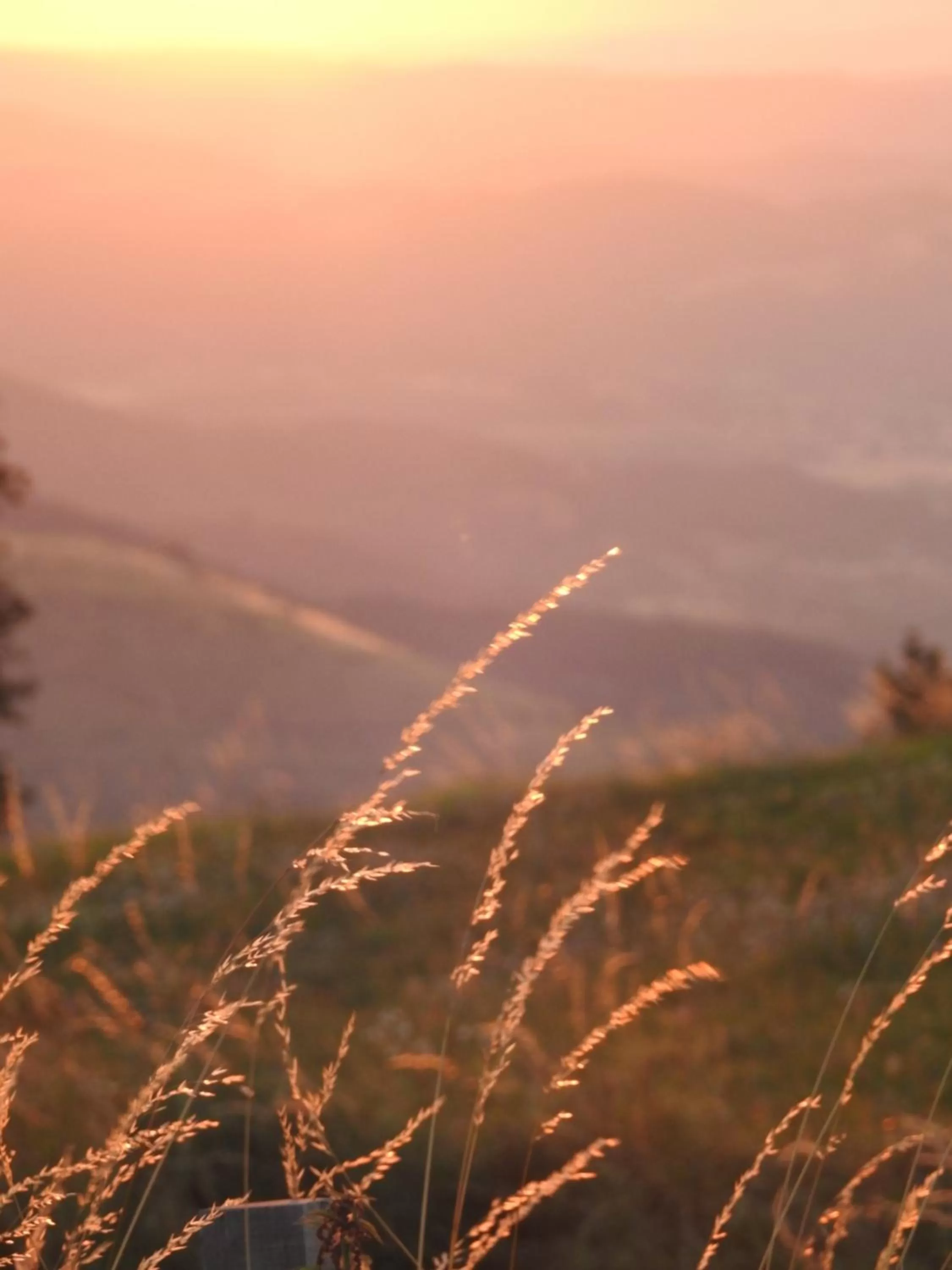 Summer in Art et Création