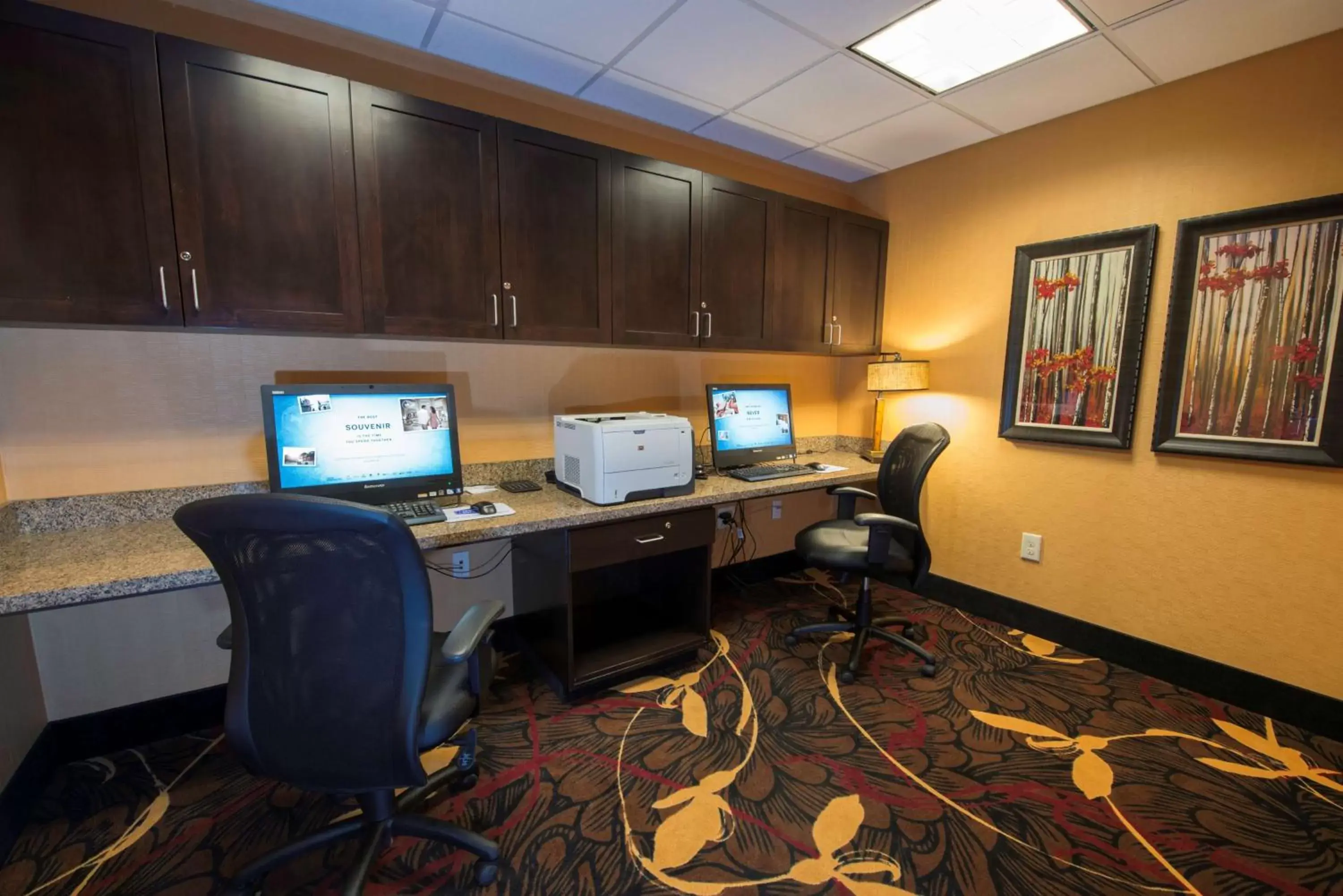 Business facilities in Hampton Inn & Suites Bismarck Northwest