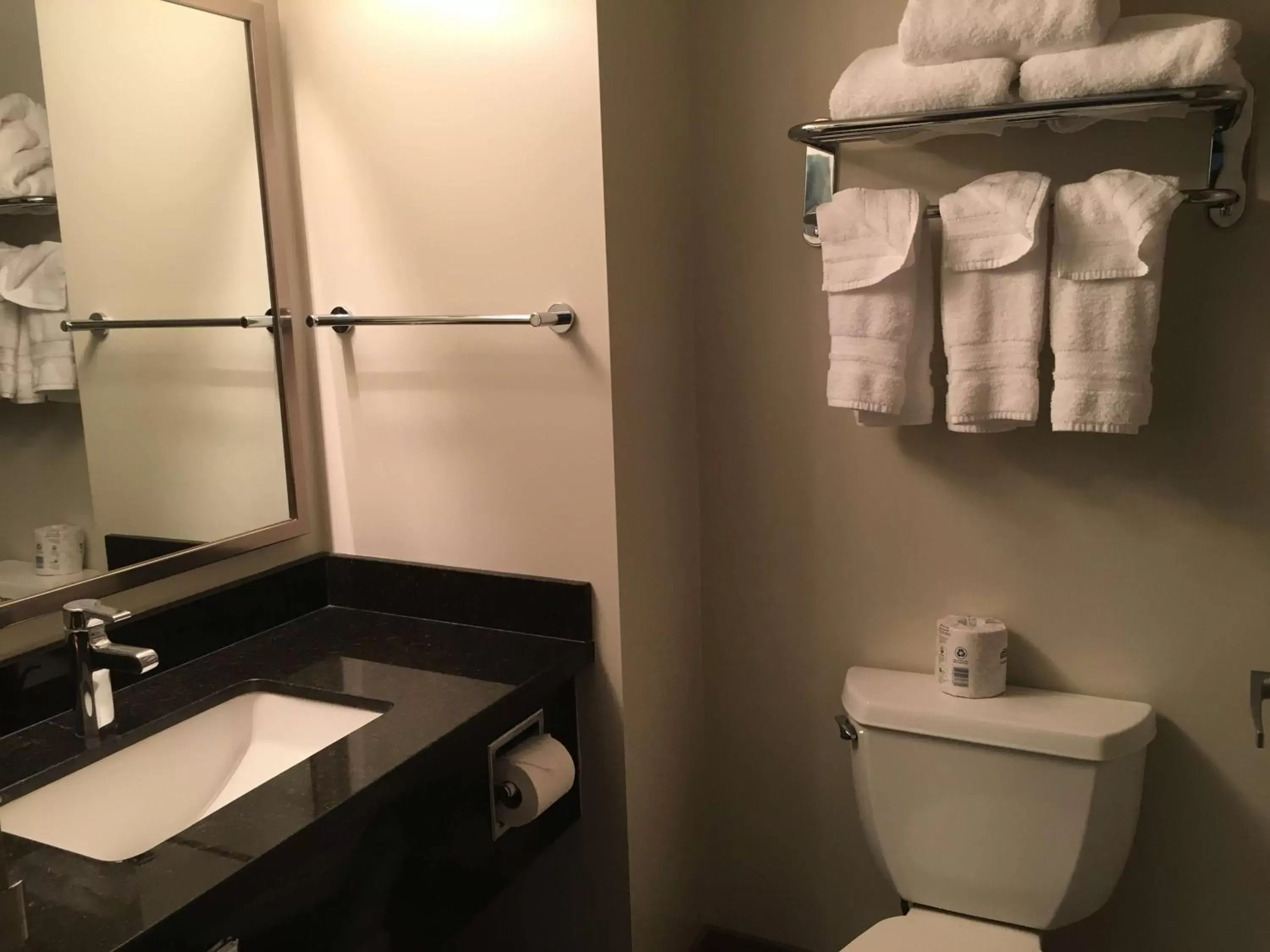 Bathroom in Best Western Plus Pitt Meadows Inn & Suites