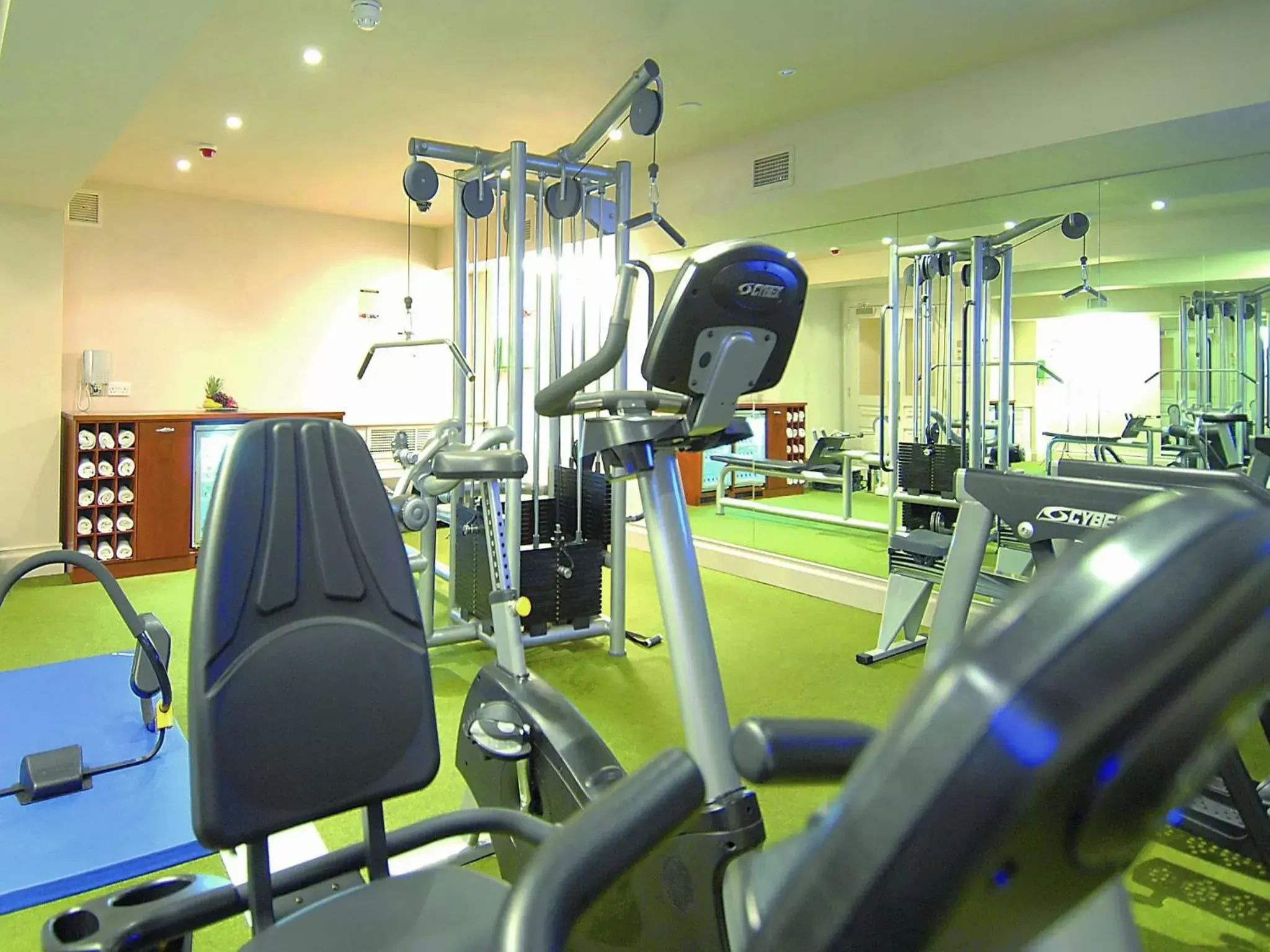 Fitness centre/facilities, Fitness Center/Facilities in The Stafford London