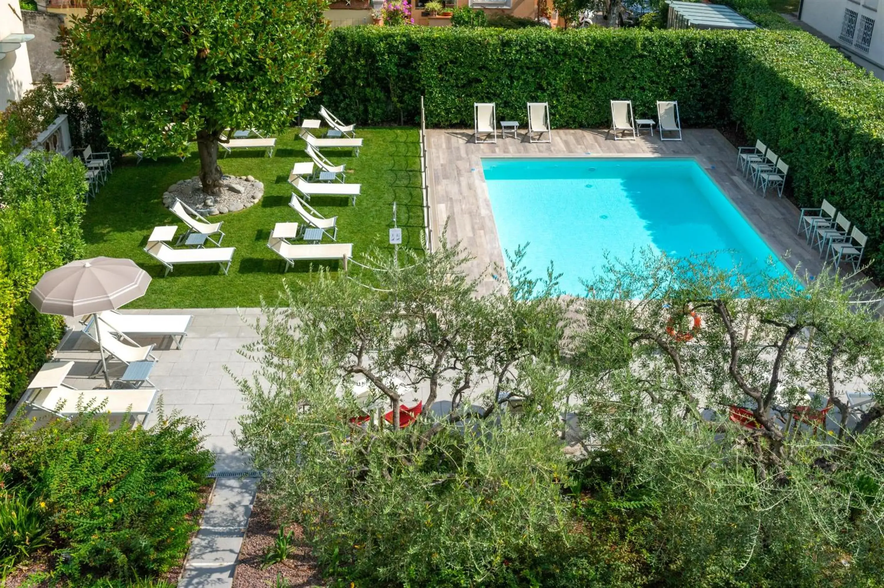 Garden, Pool View in Hotel San Marco