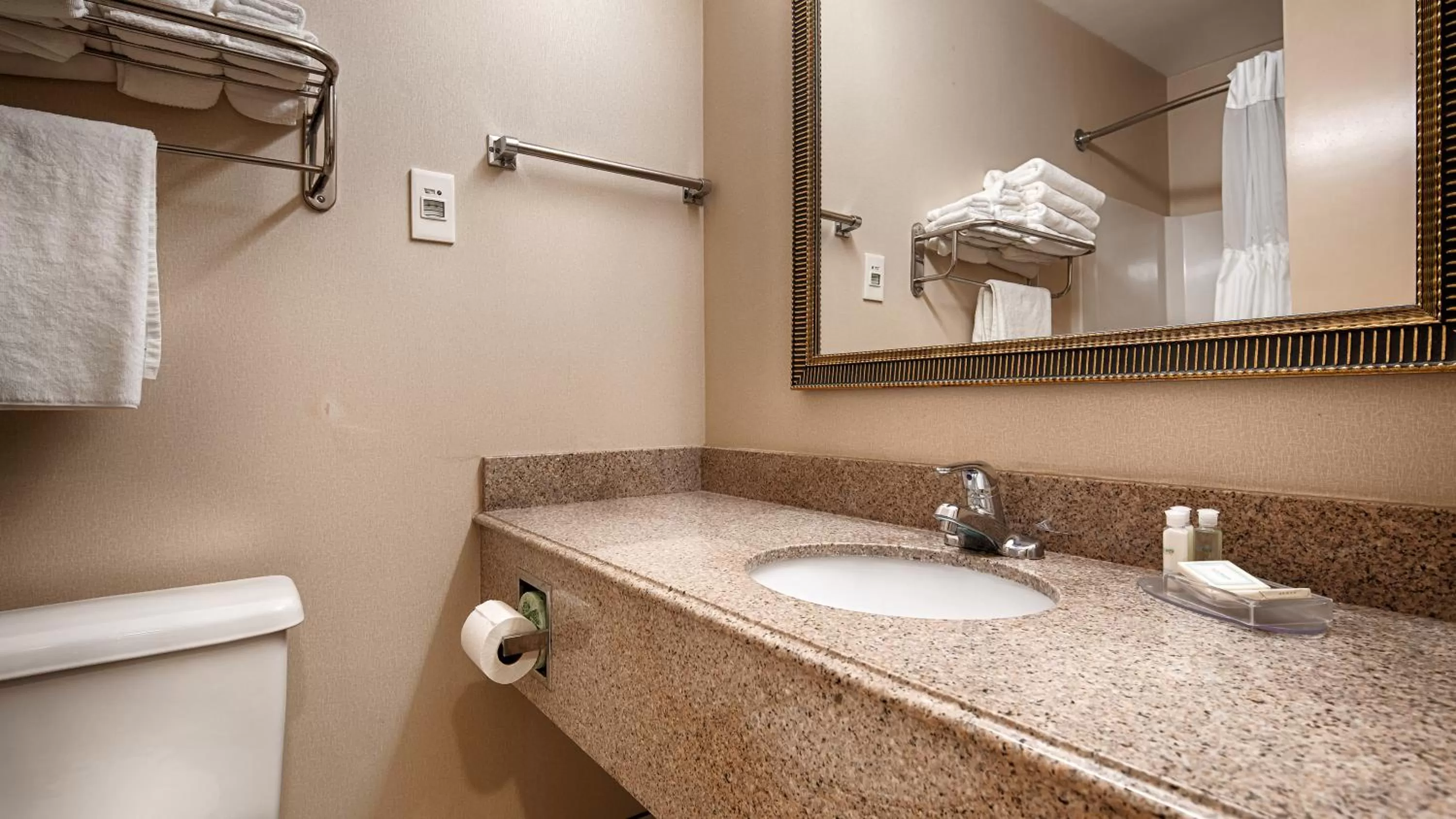 Bathroom in Best Western Dunkirk & Fredonia Inn