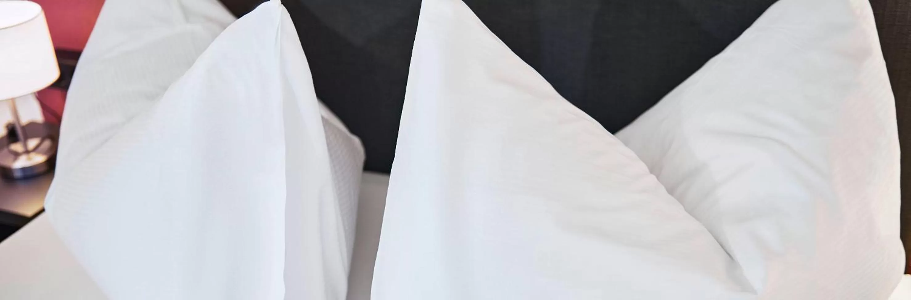 Photo of the whole room in Hotel Hottingen