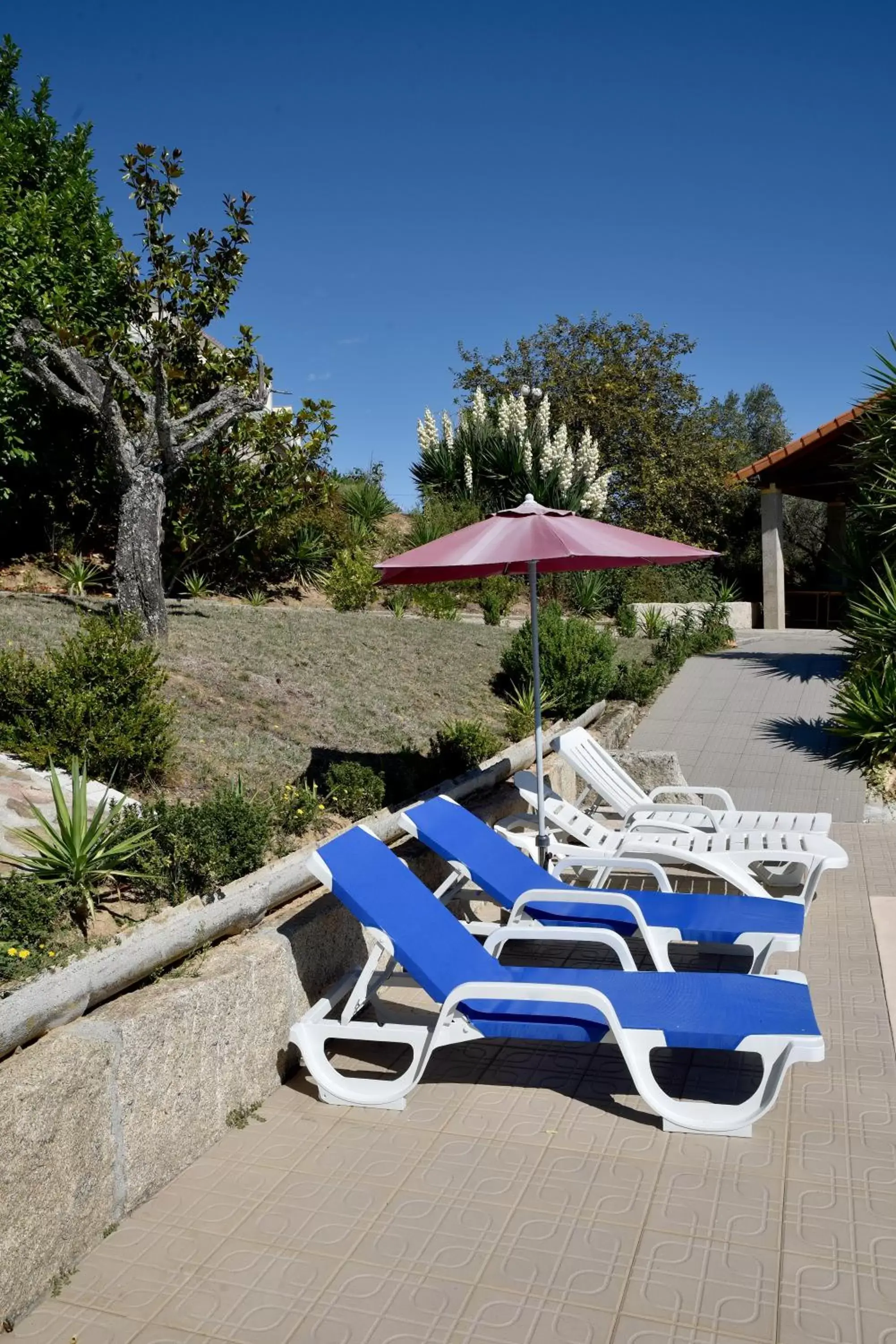 Swimming Pool in Quinta da Seixeda