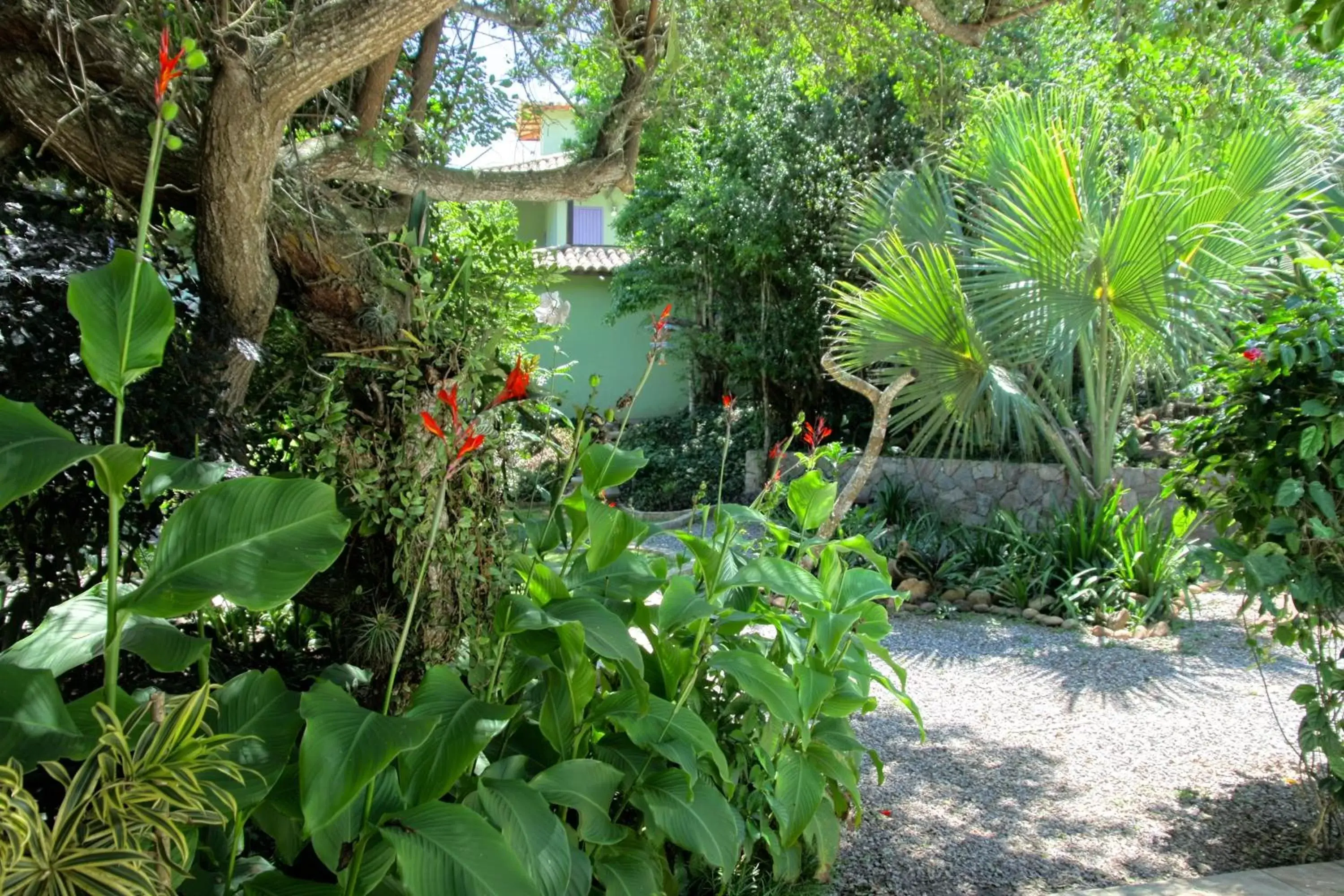 Garden in Pousada Aguas Claras