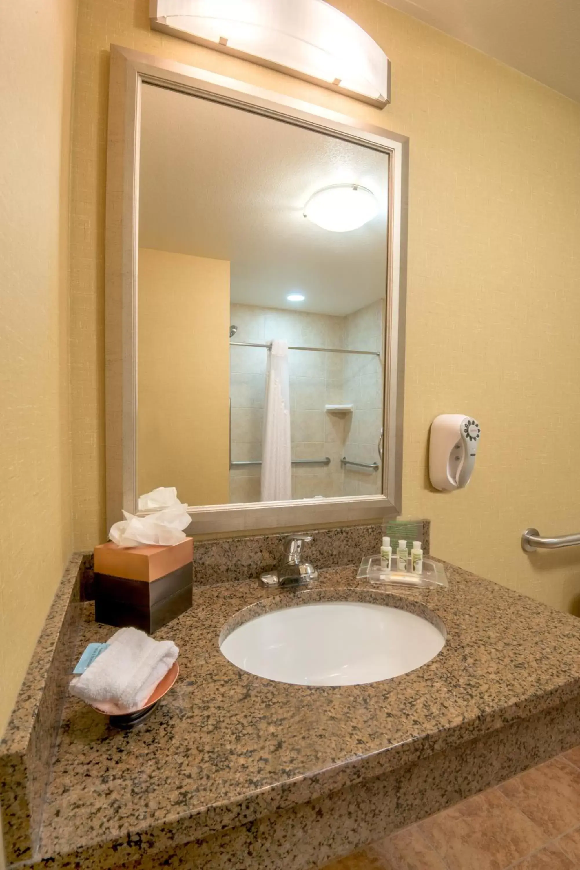 Bathroom in Holiday Inn Casper East-Medical Center, an IHG Hotel