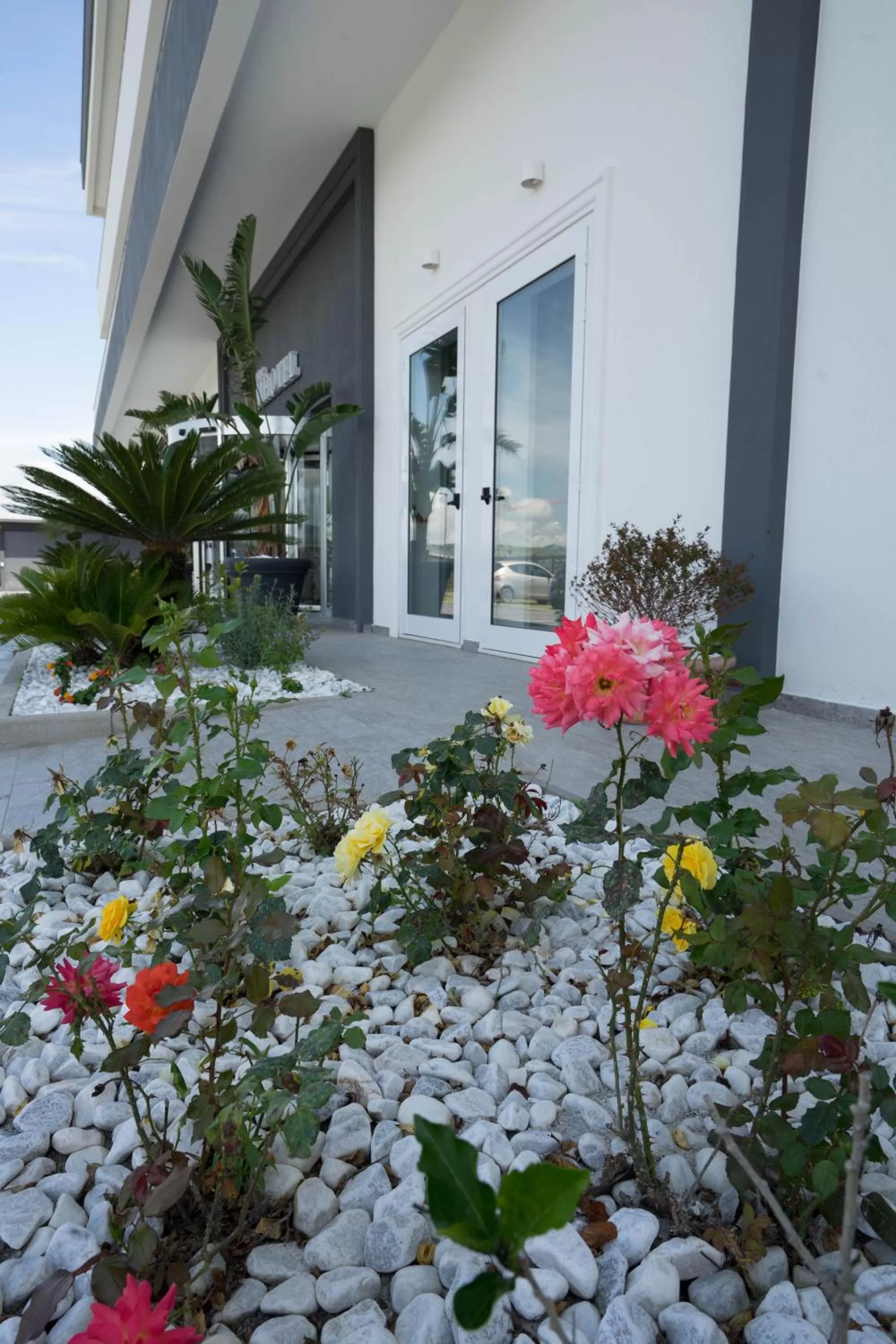 Garden view in PM Hotel