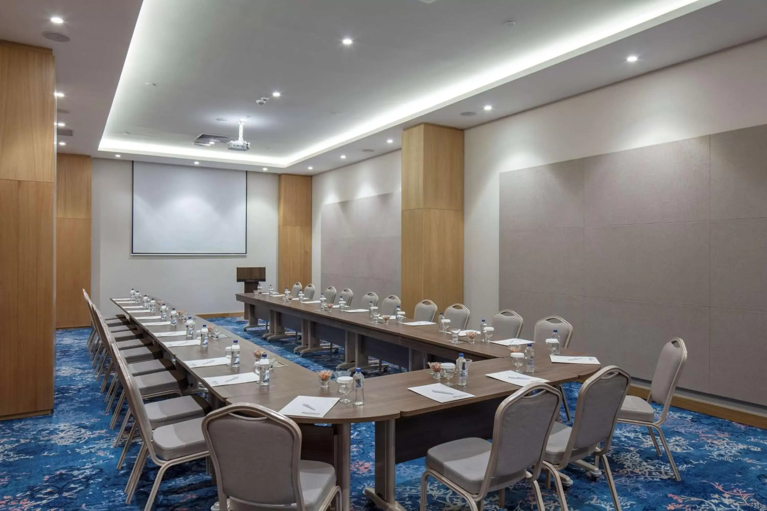 Meeting/conference room in Hilton Garden Inn Erzurum