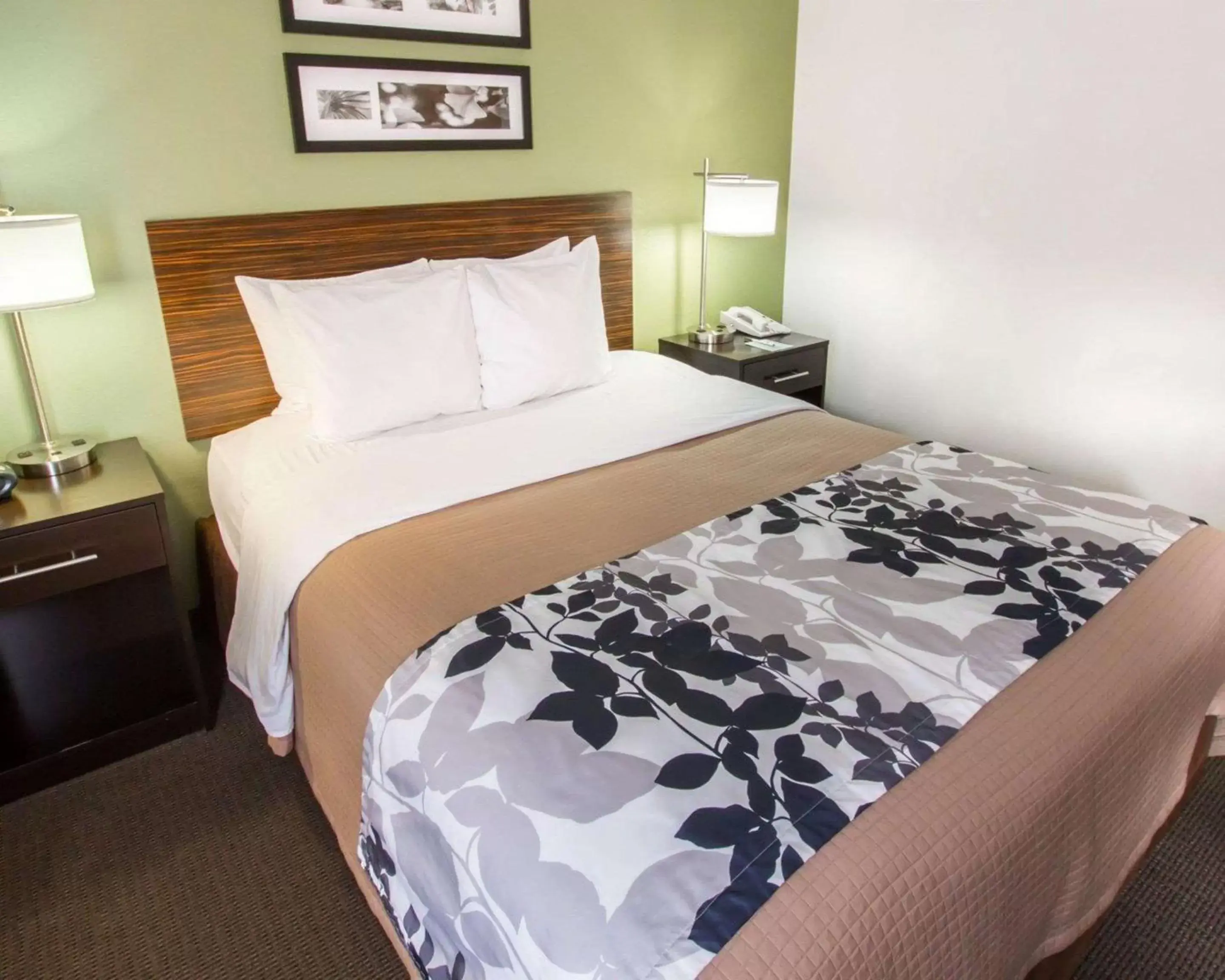 Photo of the whole room, Bed in Sleep Inn at North Scottsdale Road