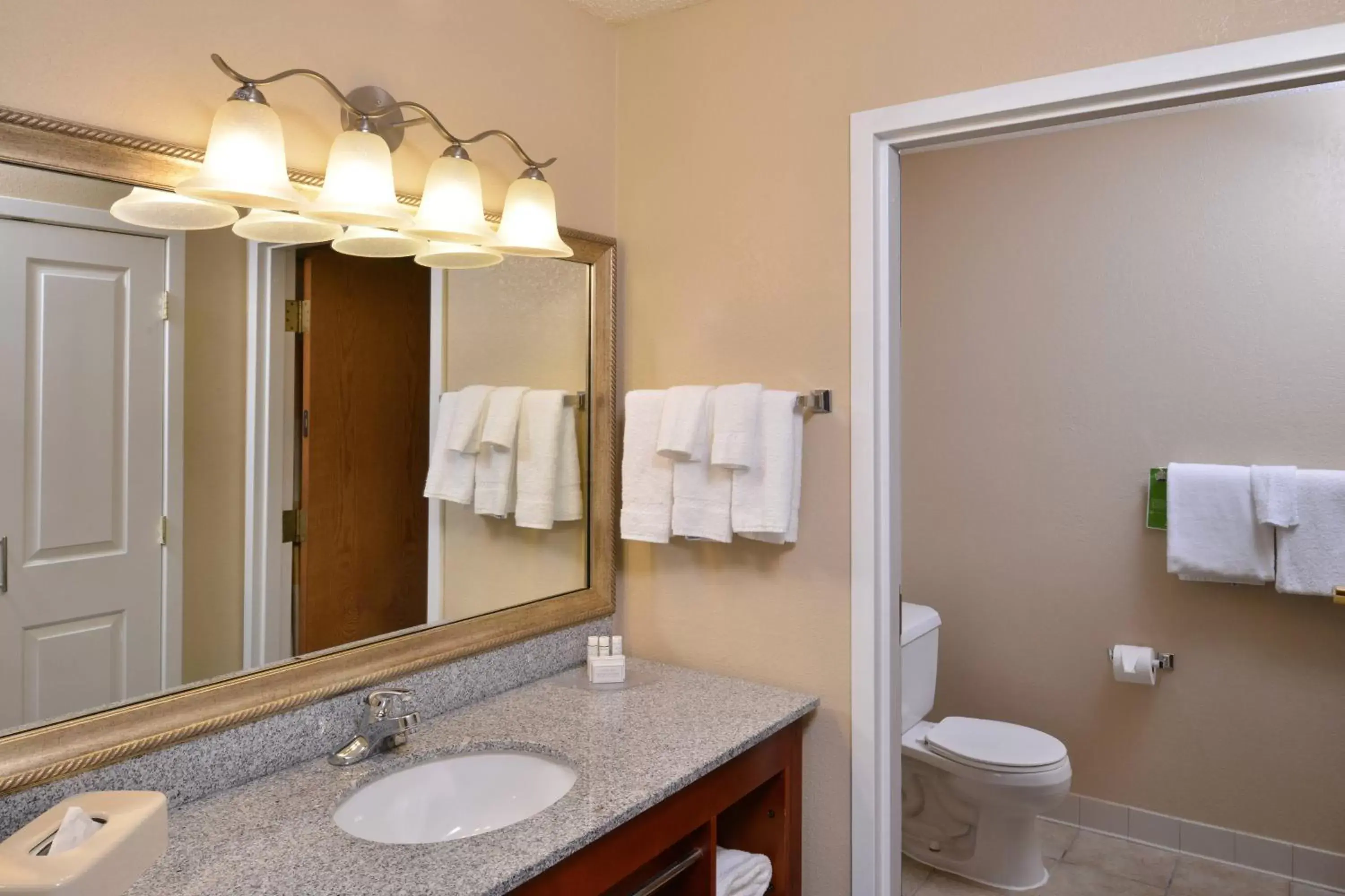 Bathroom in TownePlace Suites Detroit Warren
