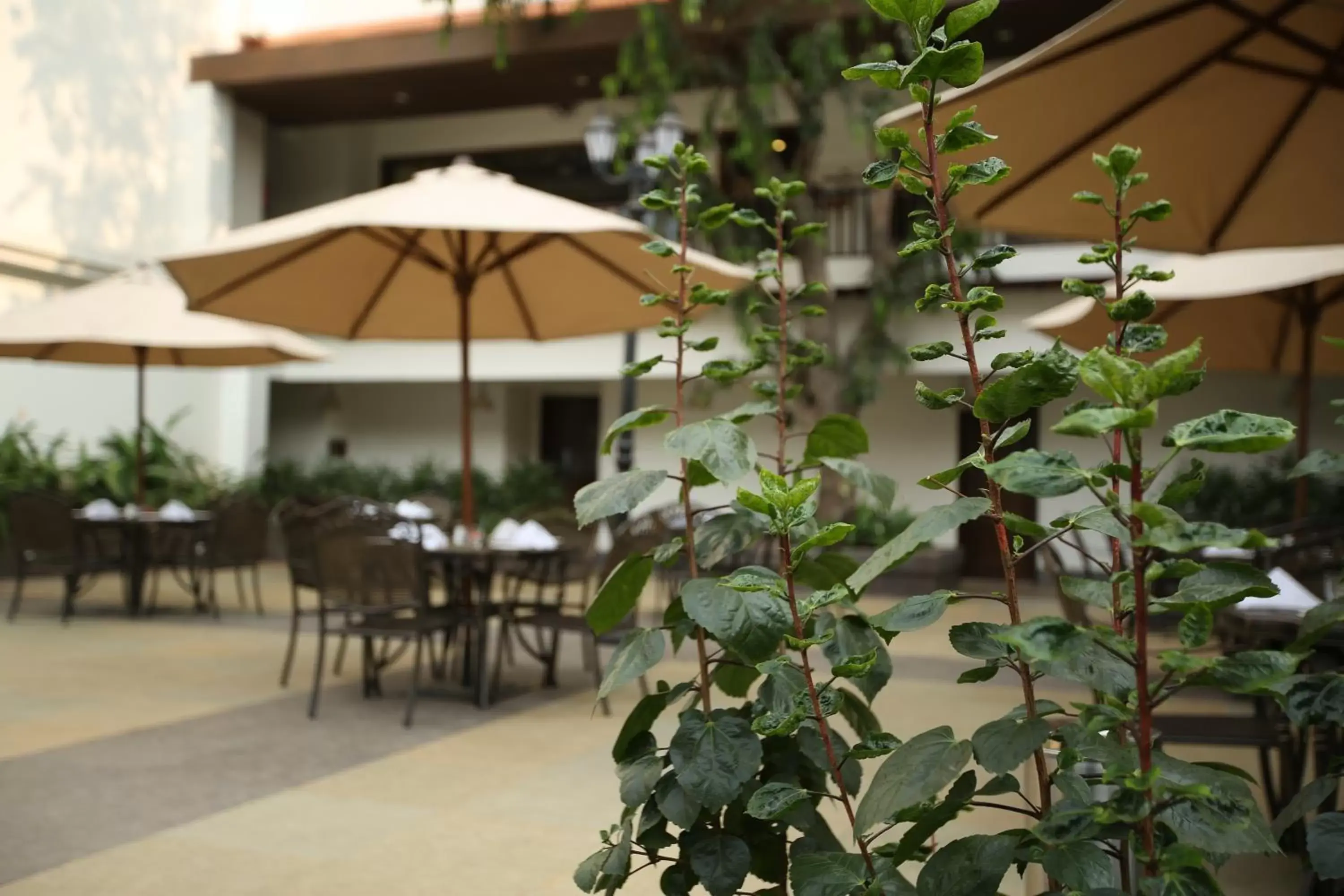 Dining area in Rhythm Lonavala - An All Suite Resort