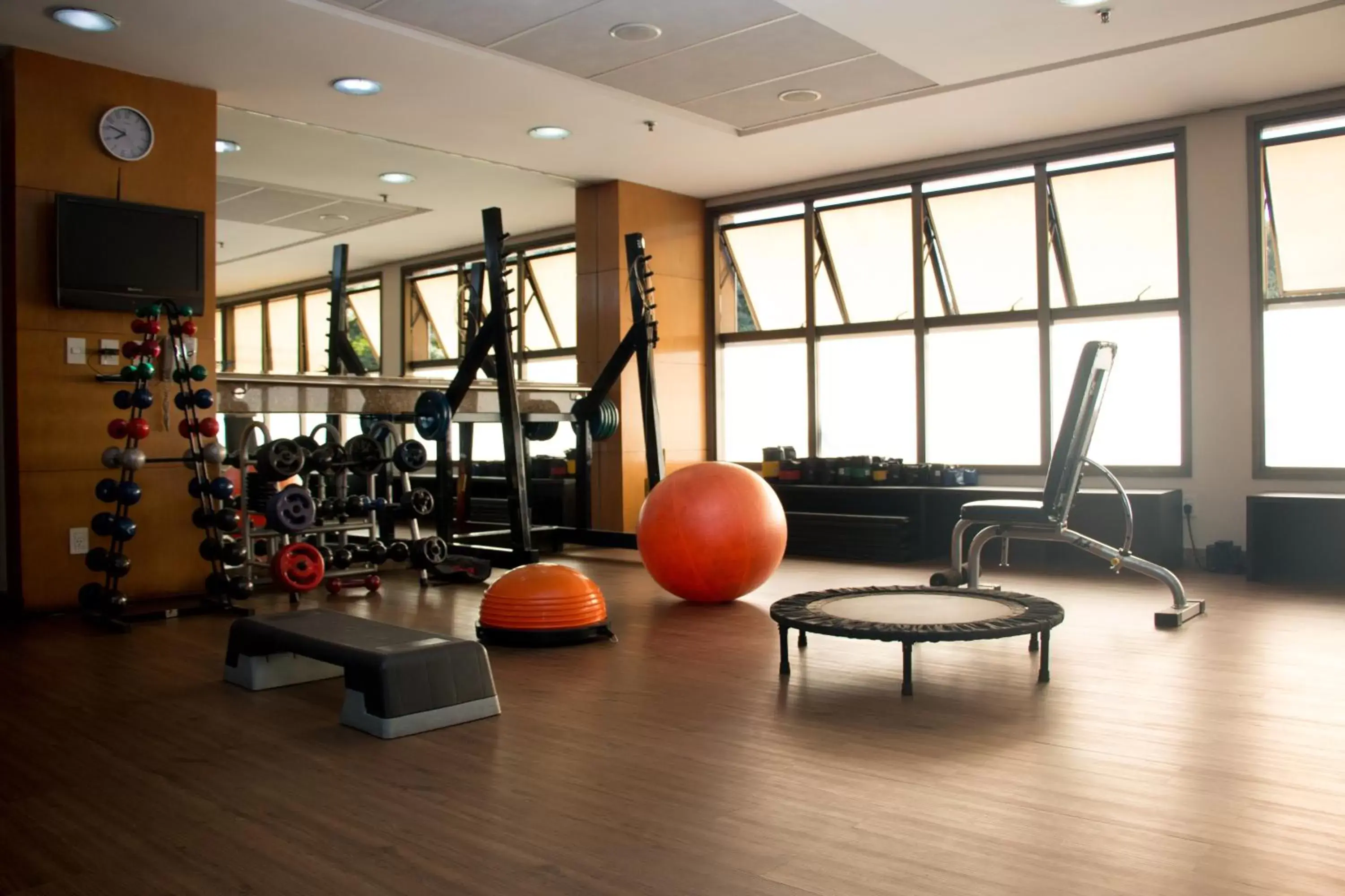 Fitness centre/facilities, Fitness Center/Facilities in Mercure Belo Horizonte Lourdes