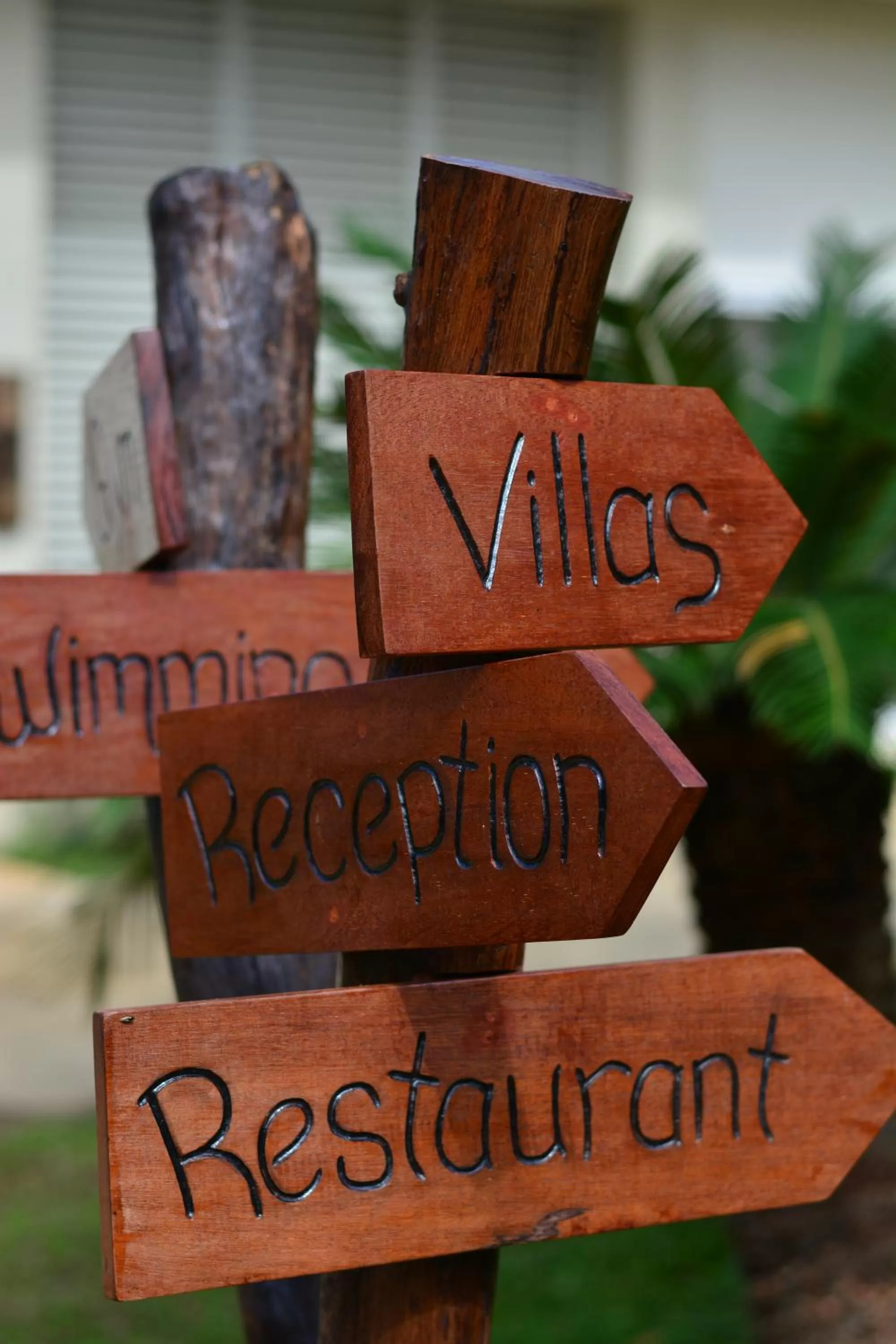 Logo/Certificate/Sign in Munting Paraiso