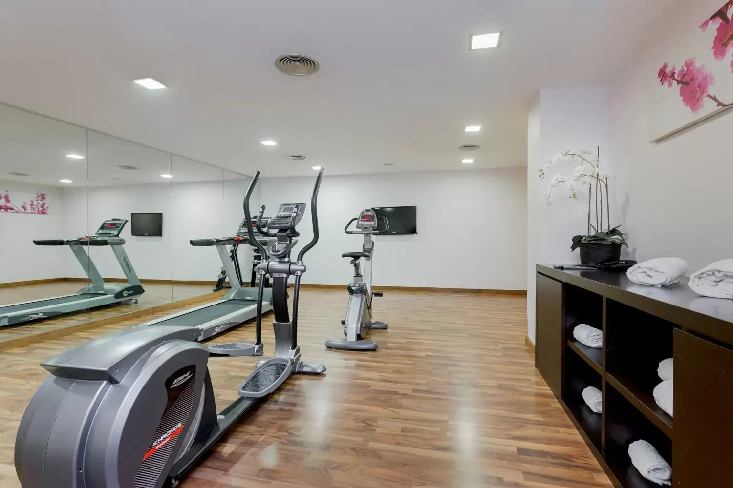 Fitness centre/facilities, Fitness Center/Facilities in Exe Moncloa