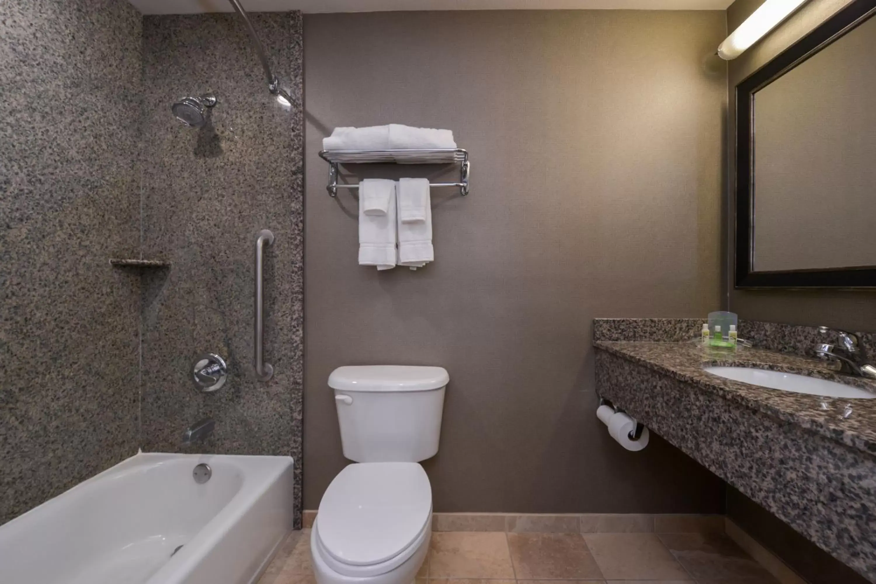 Shower, Bathroom in Holiday Inn Ontario Airport - California, an IHG Hotel