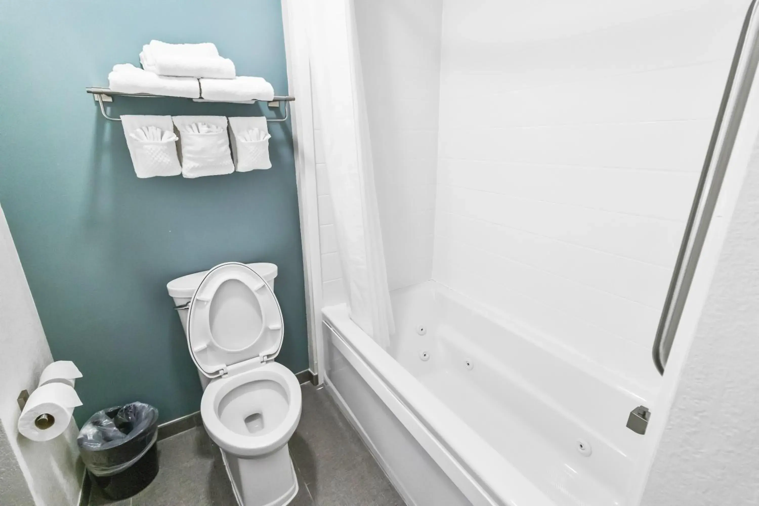Toilet, Bathroom in Econo Lodge Brunswick I-95