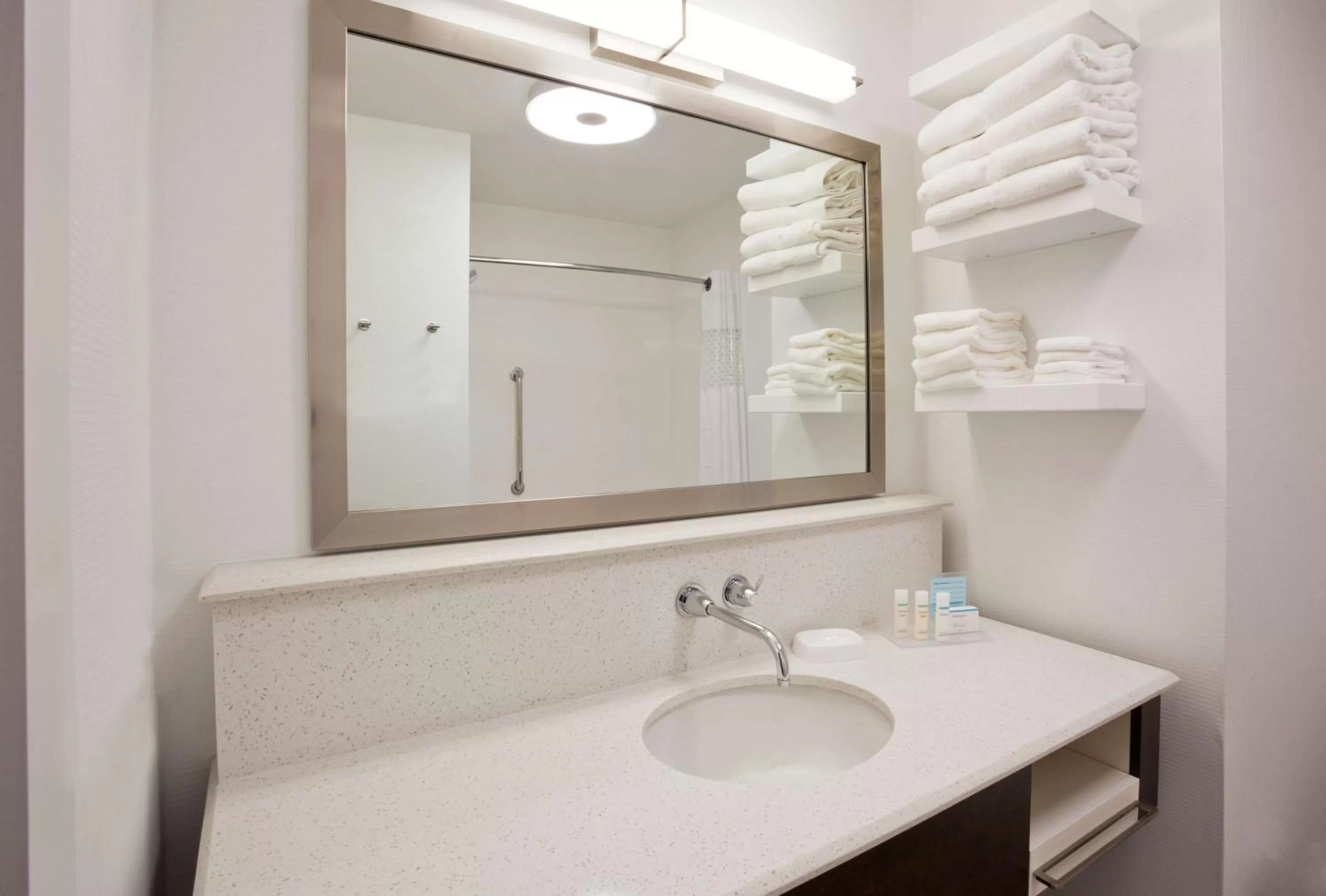 Bathroom in Hampton Inn & Suites Sioux City South, IA