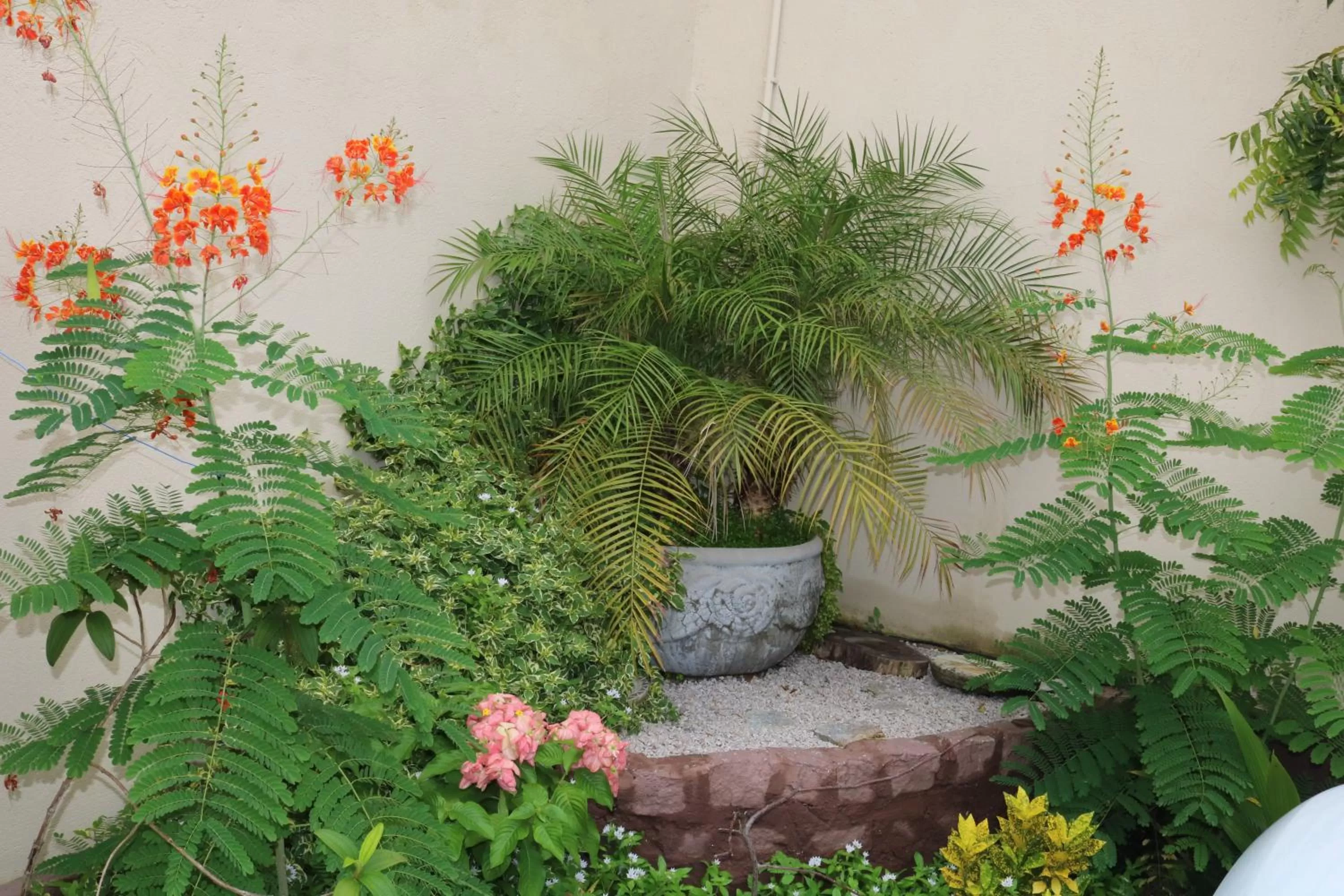 Garden in Pousada Flor Dália