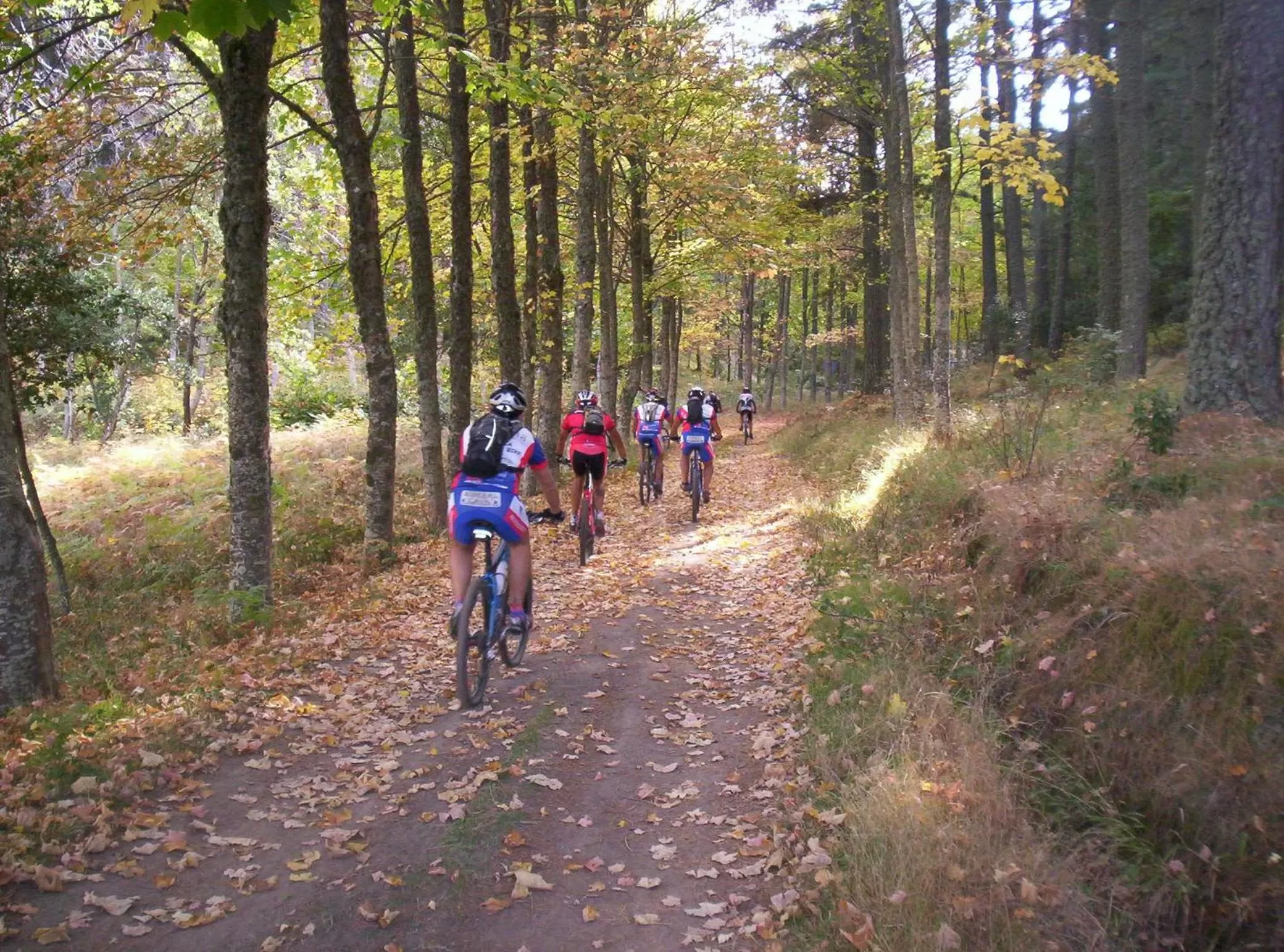 Nearby landmark, Horseback Riding in Residence Hotel Torresilvana