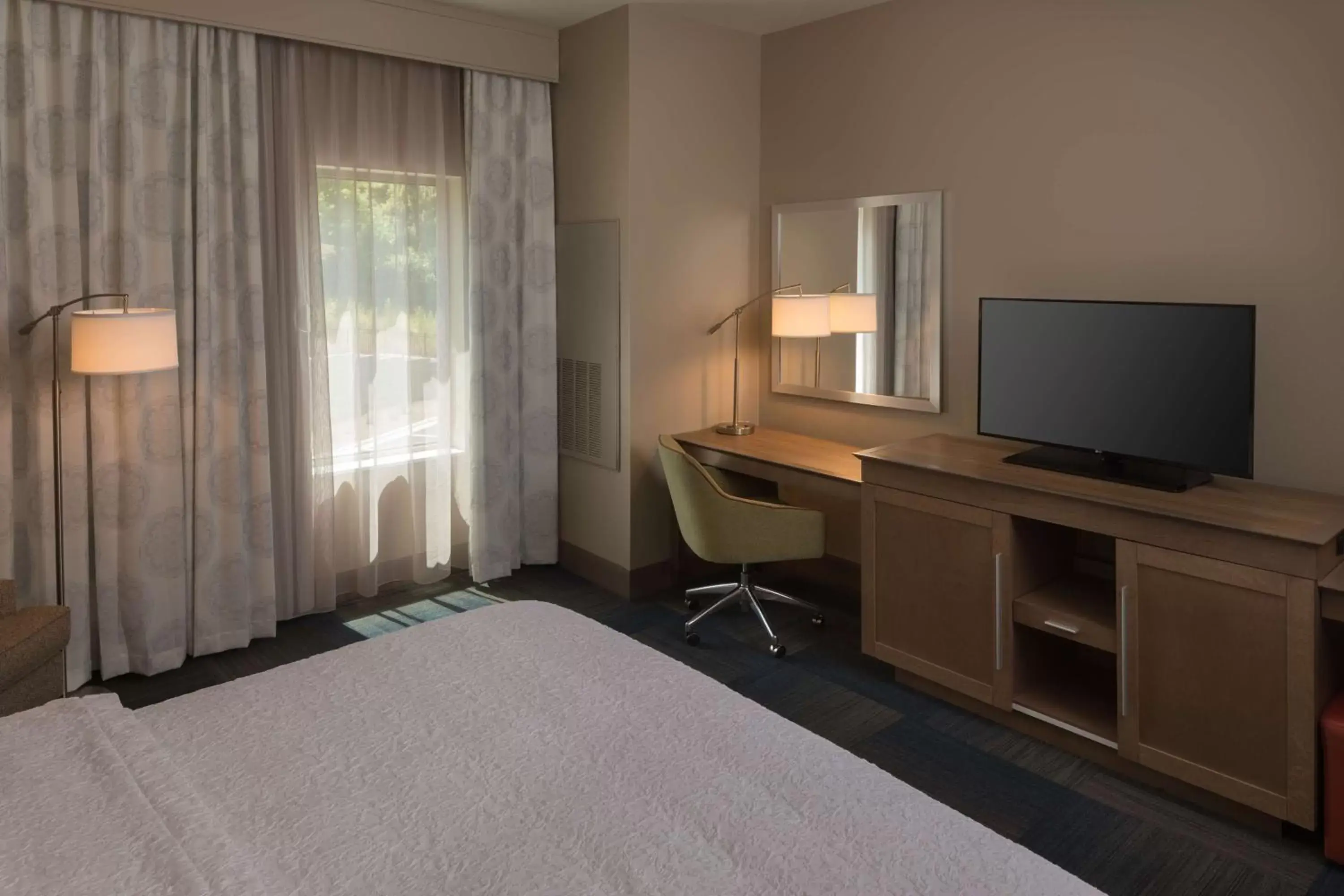 Bed, TV/Entertainment Center in Hampton Inn & Suites-Asheville Biltmore Village, NC