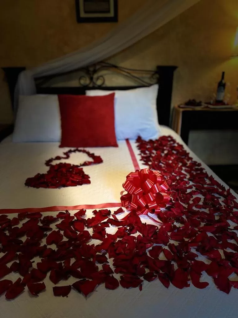 Bed in Hotel Palacio Chico 1948