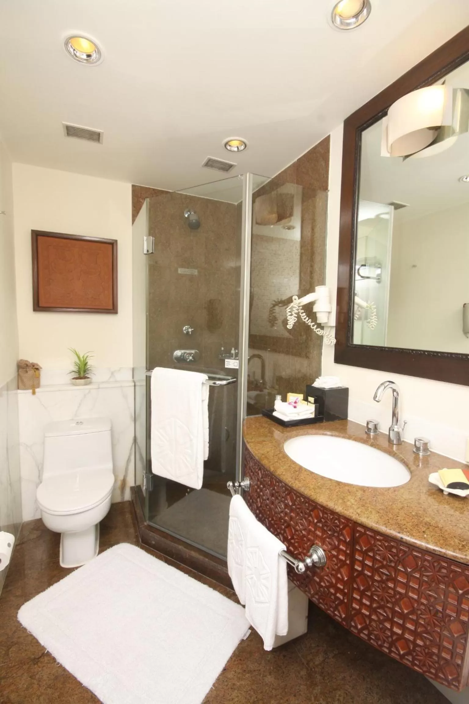 Bathroom in Taj Bengal