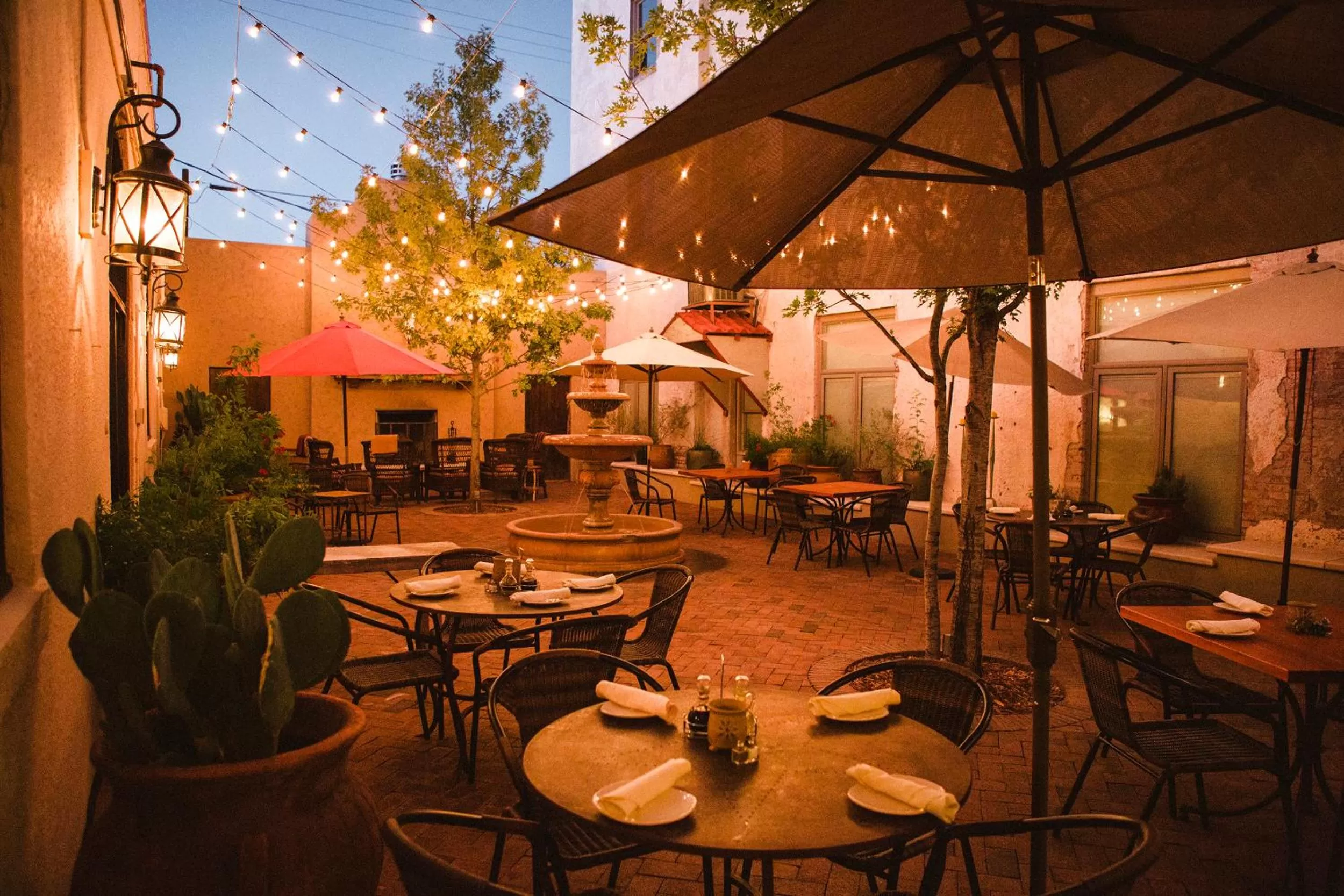 Garden in The Holland Hotel