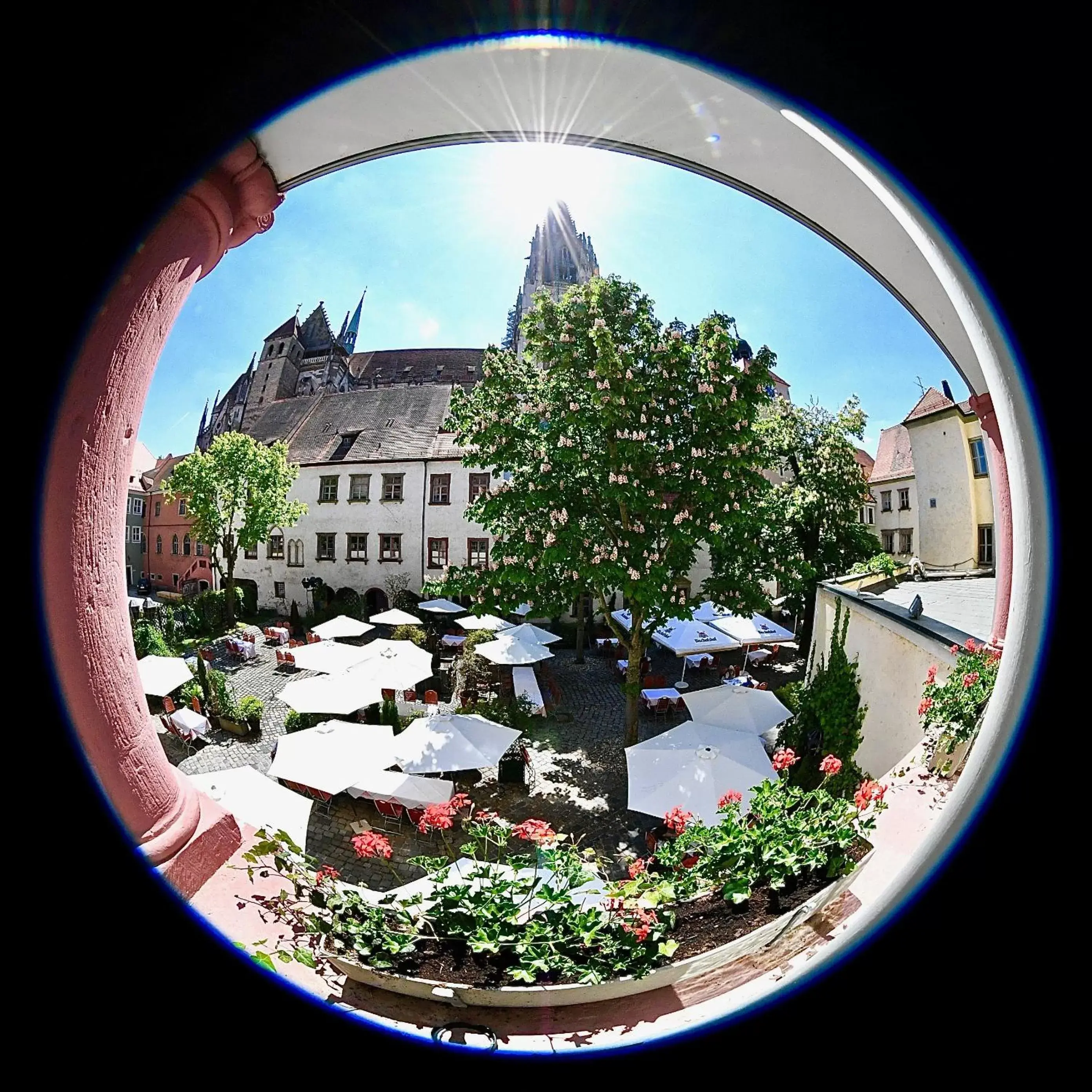 Restaurant/places to eat in Hotel Bischofshof am Dom