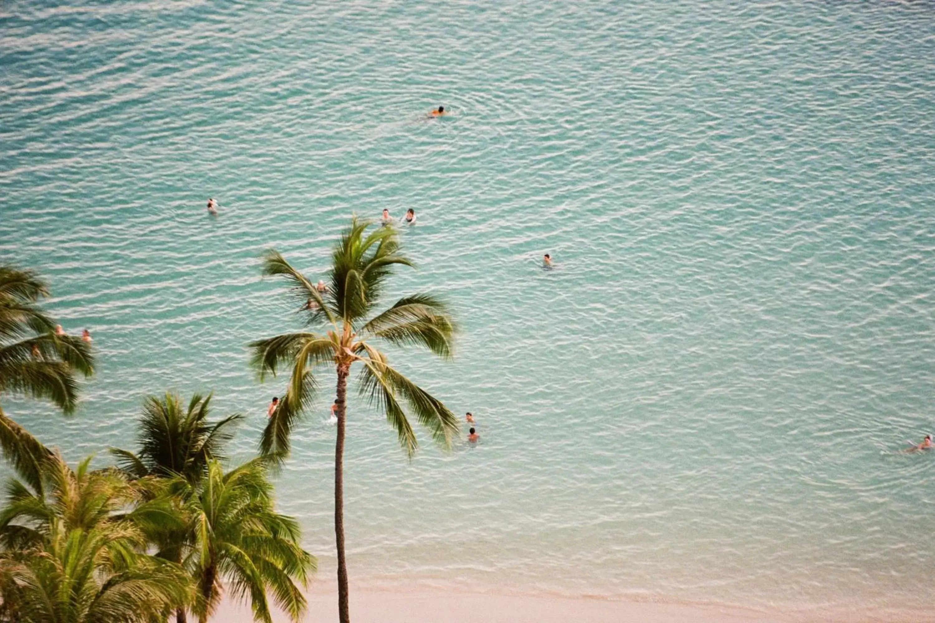 Beach in Waikiki Beach Marriott Resort & Spa