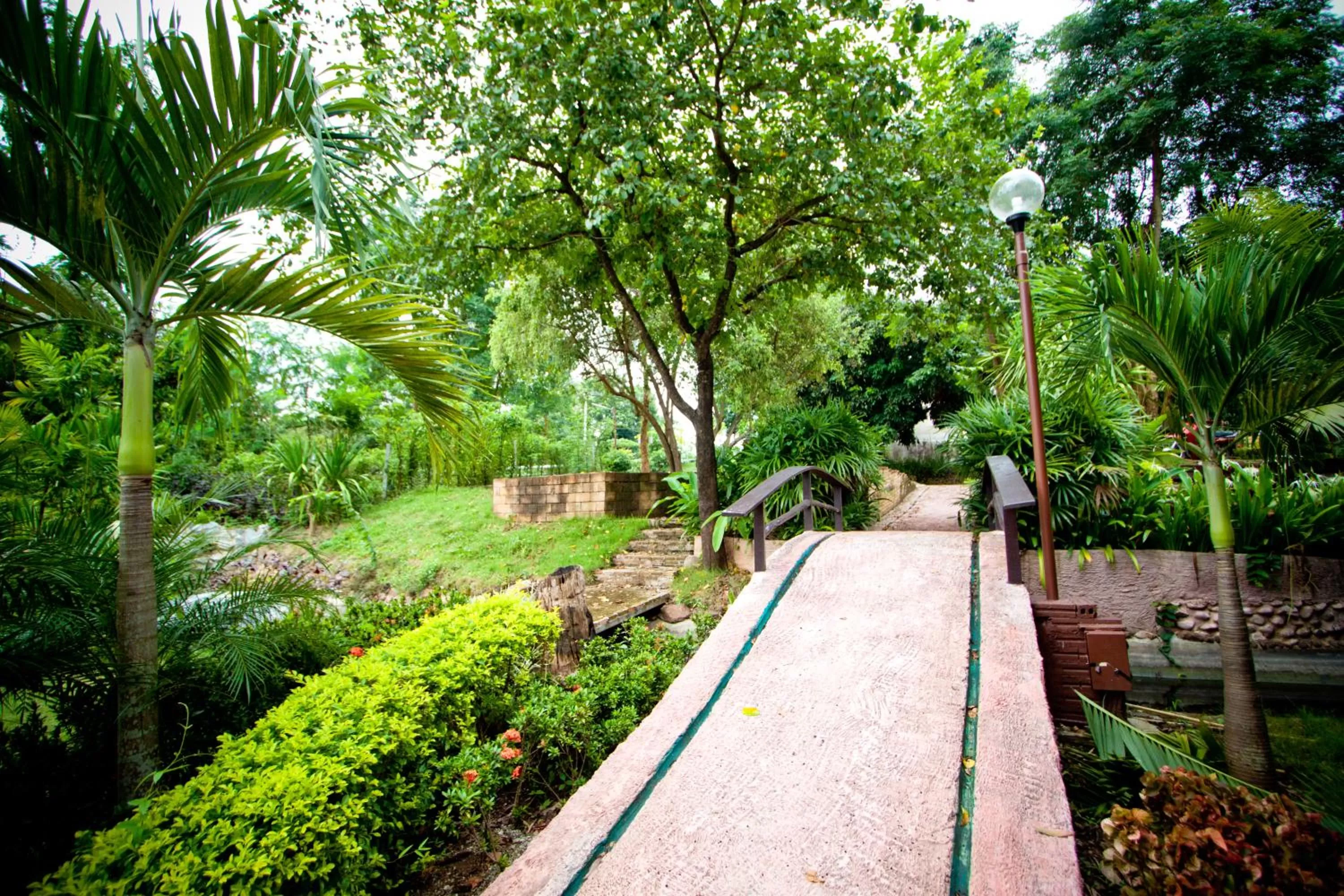 Natural landscape in Touch Star Resort - Doi Inthanon