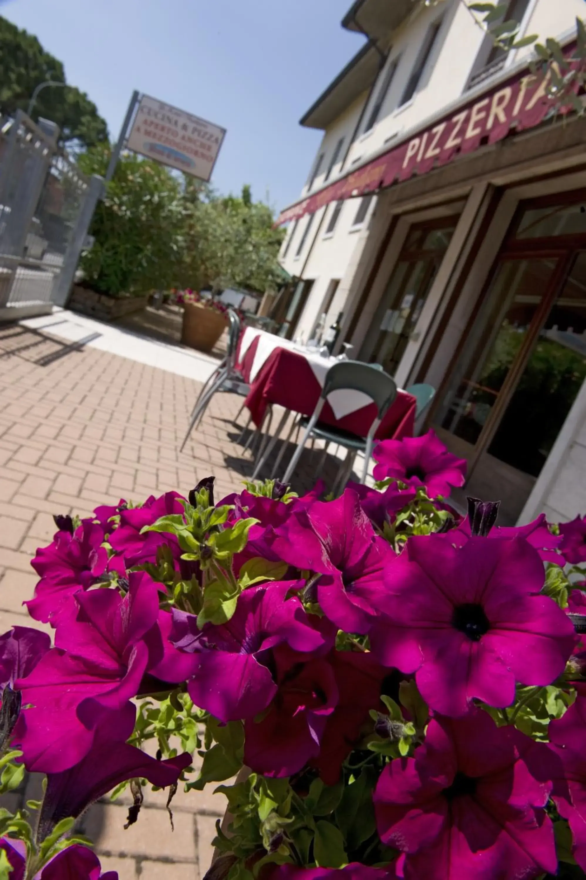 Balcony/Terrace in Hotel Scaligero