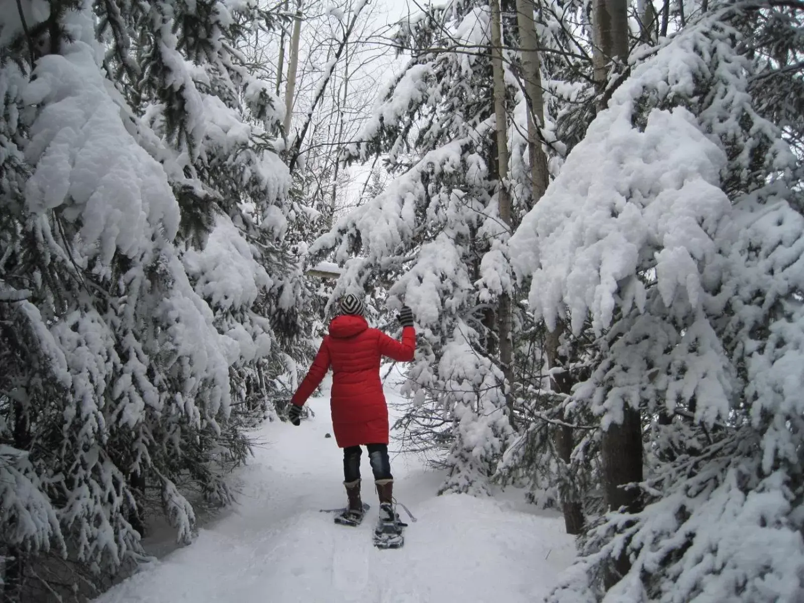 Winter in Domaine de la Baie, Les Suites