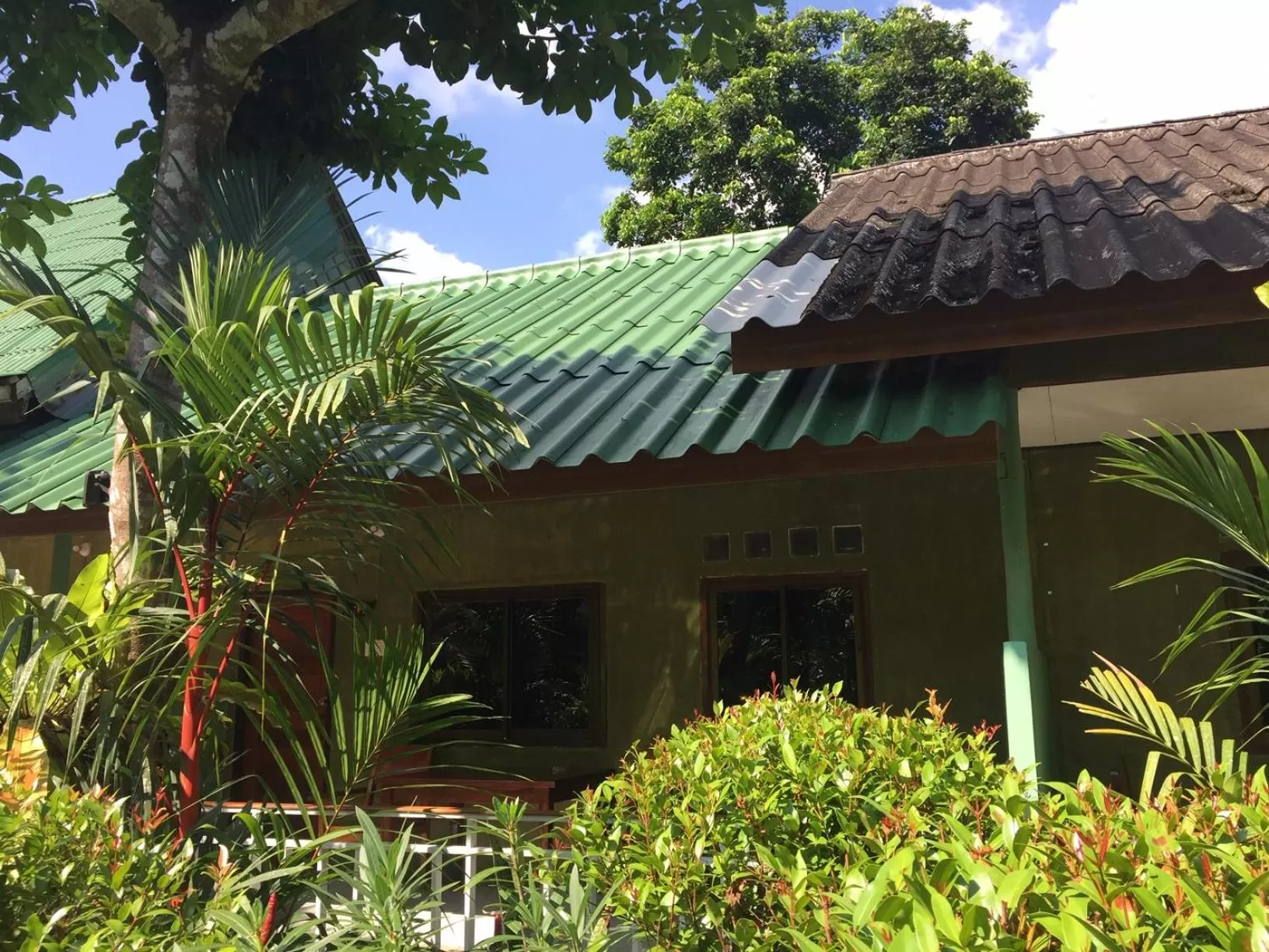 Garden in Khao Sok Jungle Huts Resort