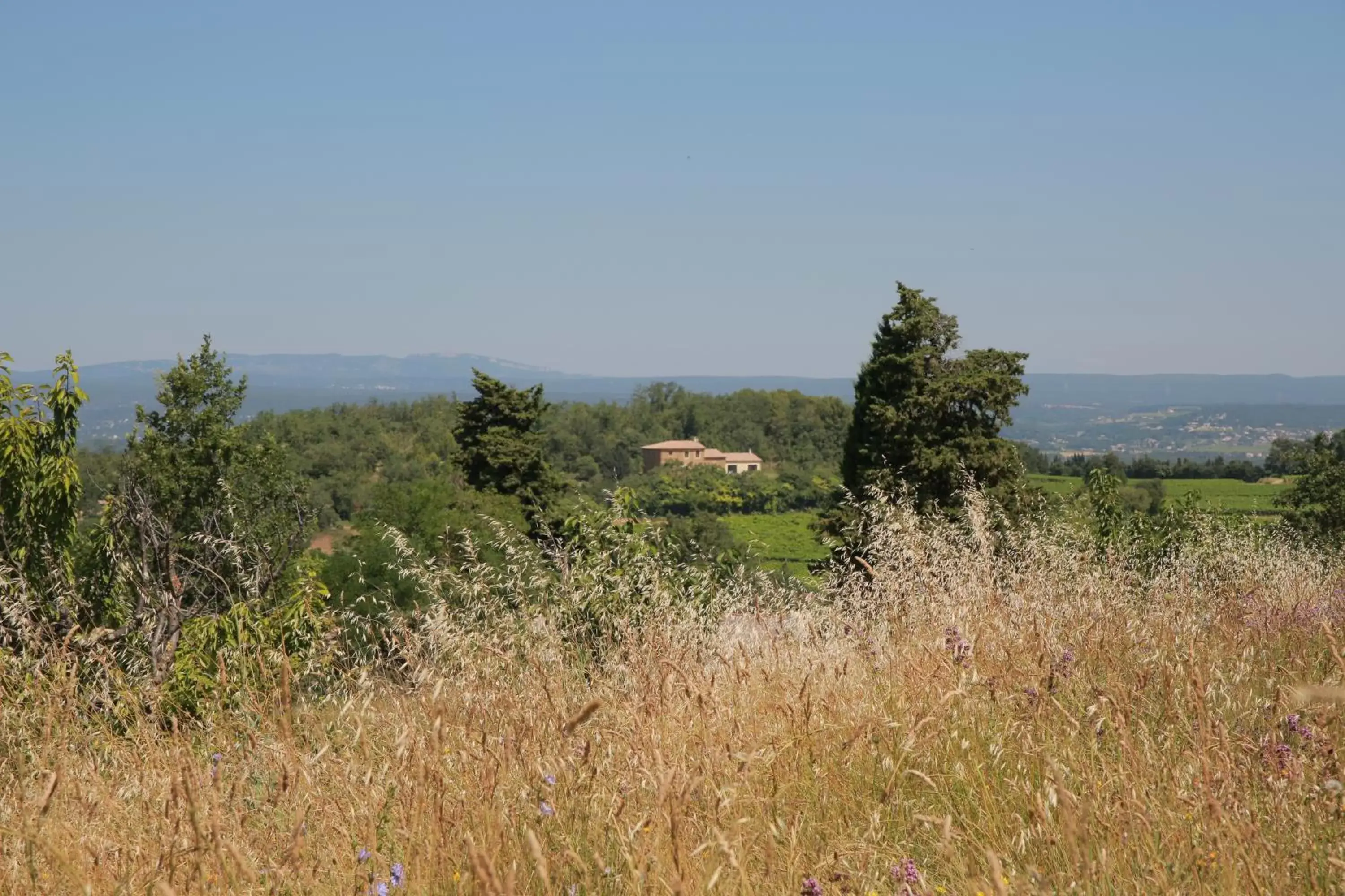 View (from property/room) in Les Yourtes de Provence