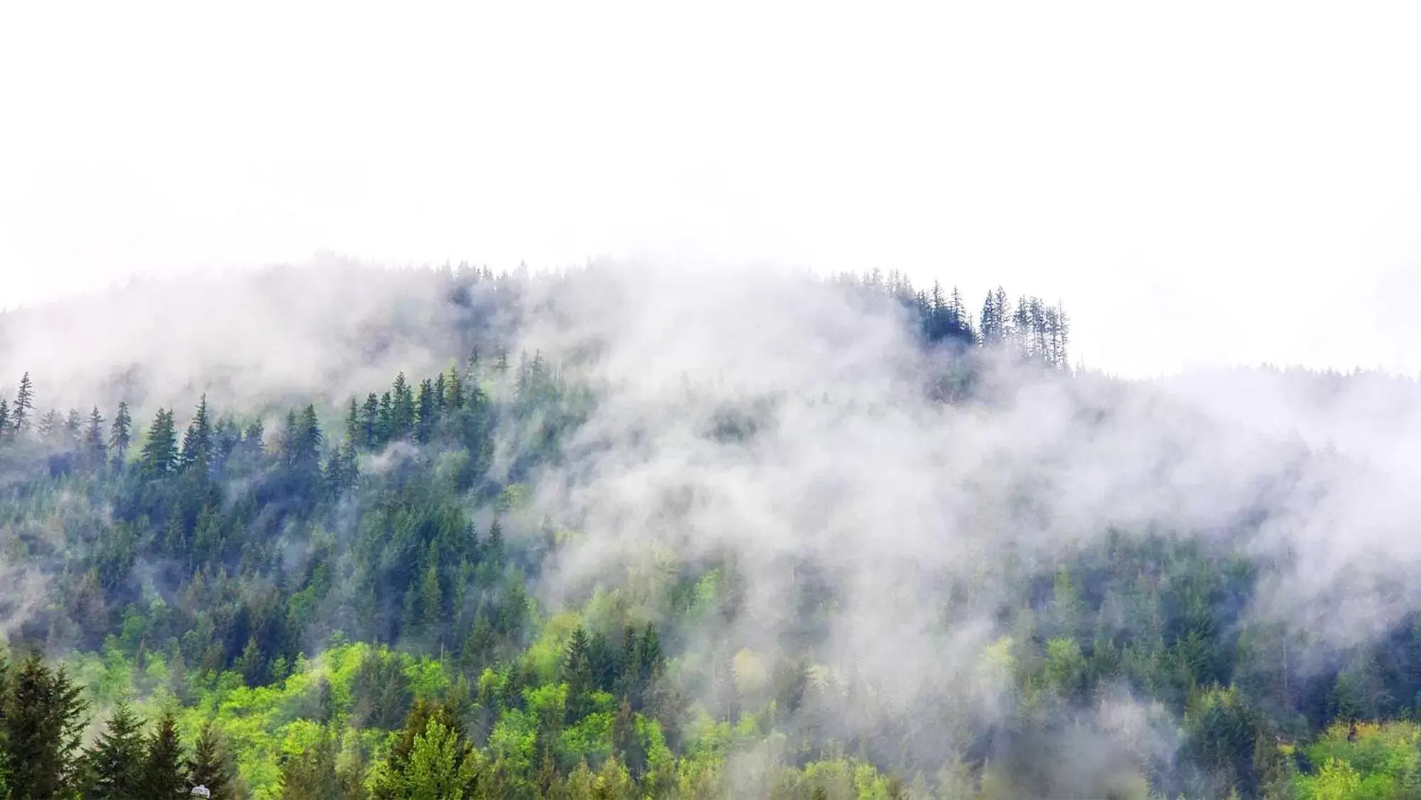 Natural landscape in Paradise Village