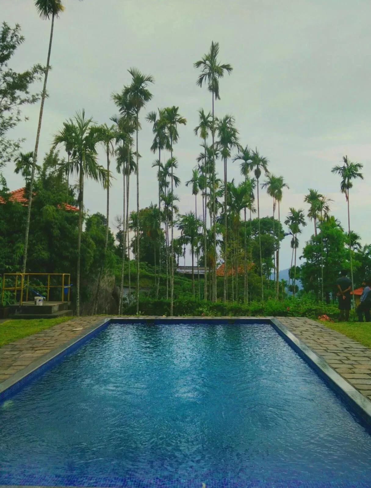 Entertainment, Swimming Pool in Marmalade Springs Resort Wayanad