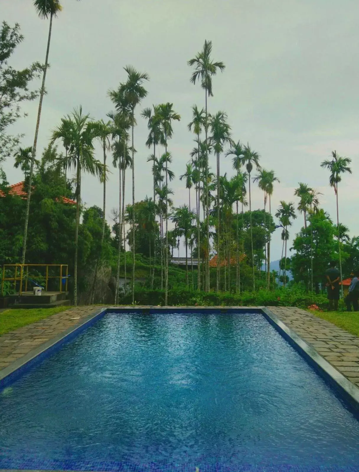 Entertainment, Swimming Pool in Marmalade Springs Resort Wayanad Entertainment, Swimming Pool in Marmalade Springs Resort Wayanad