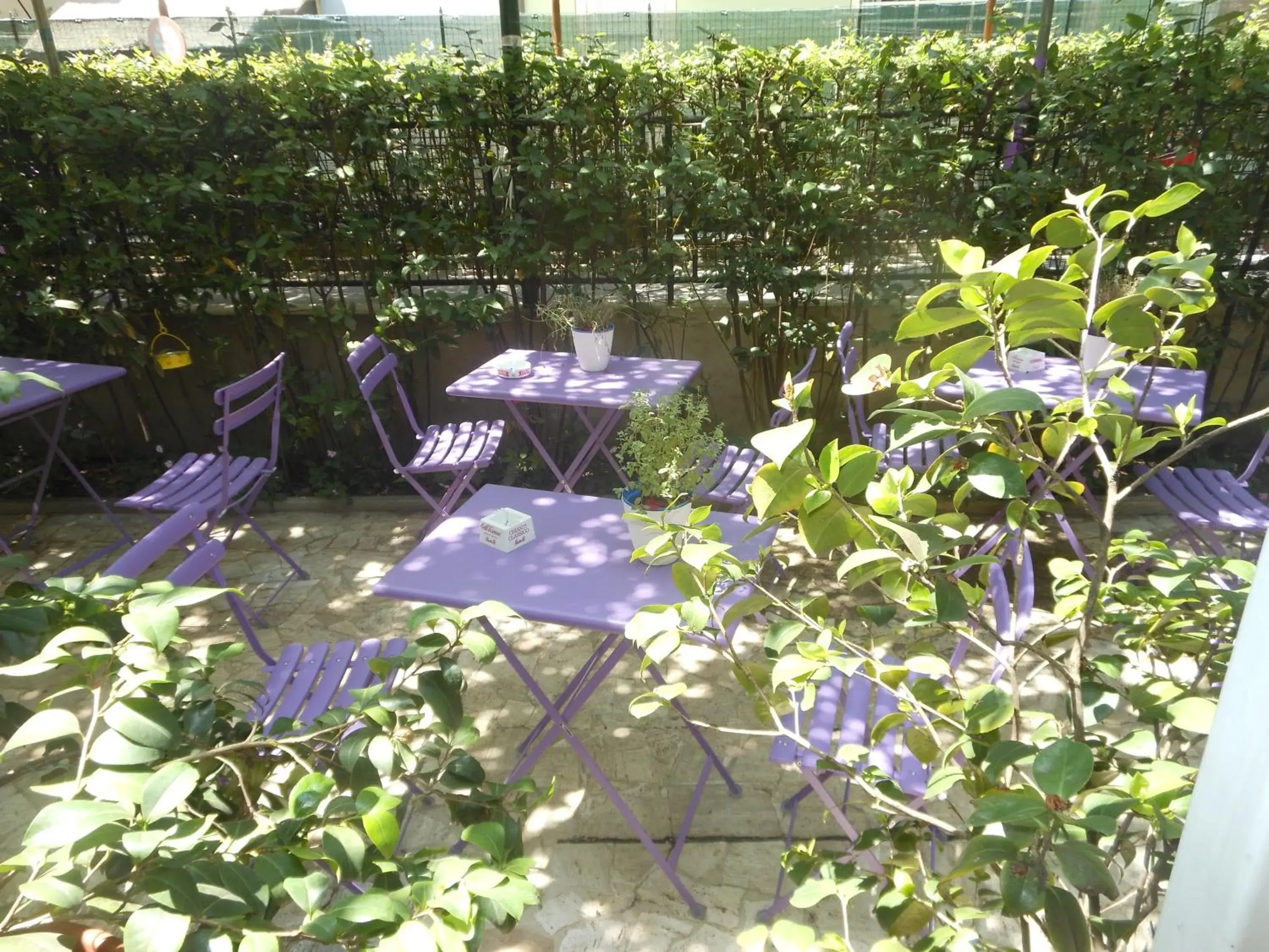 Patio in Hotel Stipino