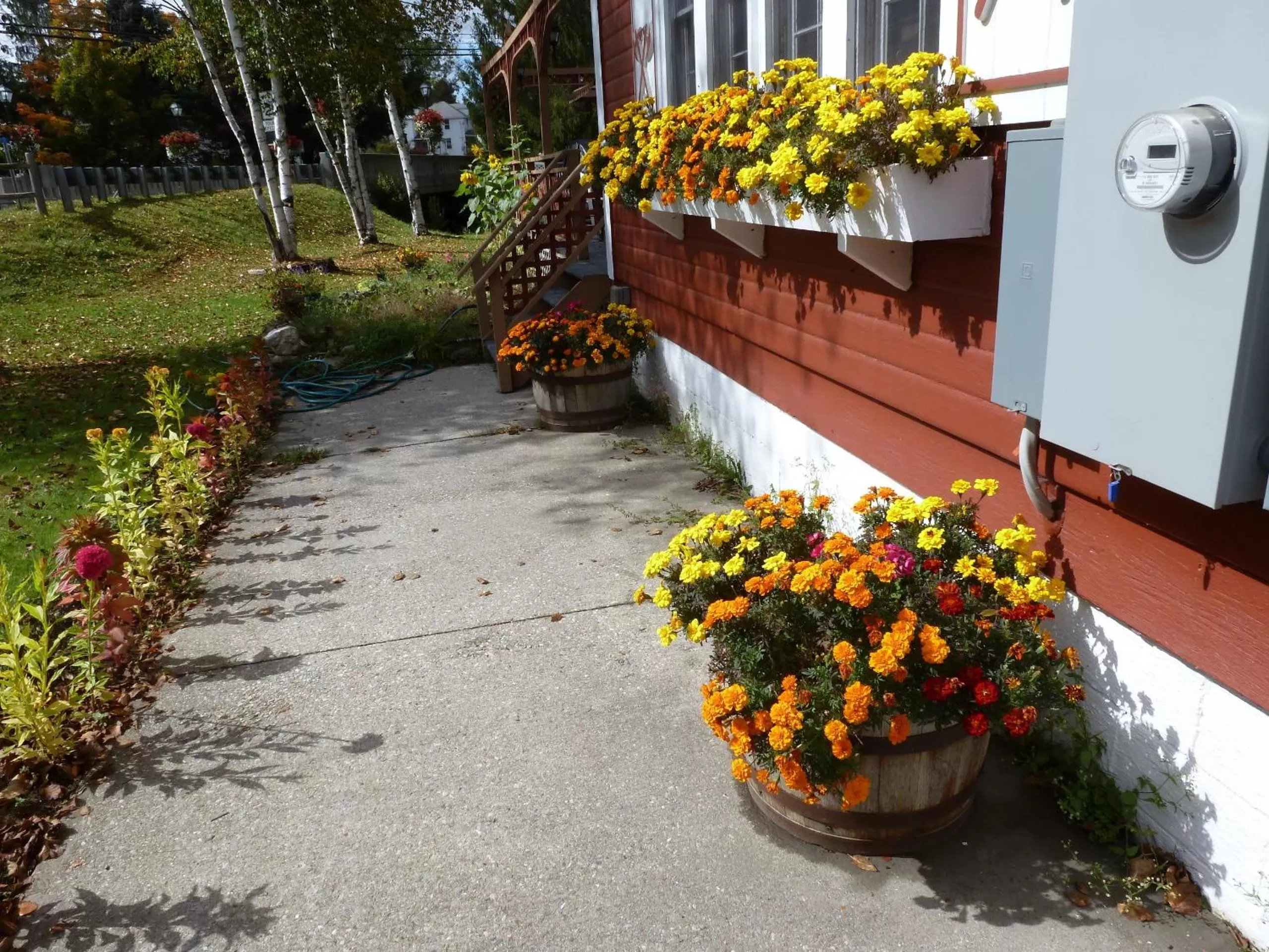 Spring in Viking Motel