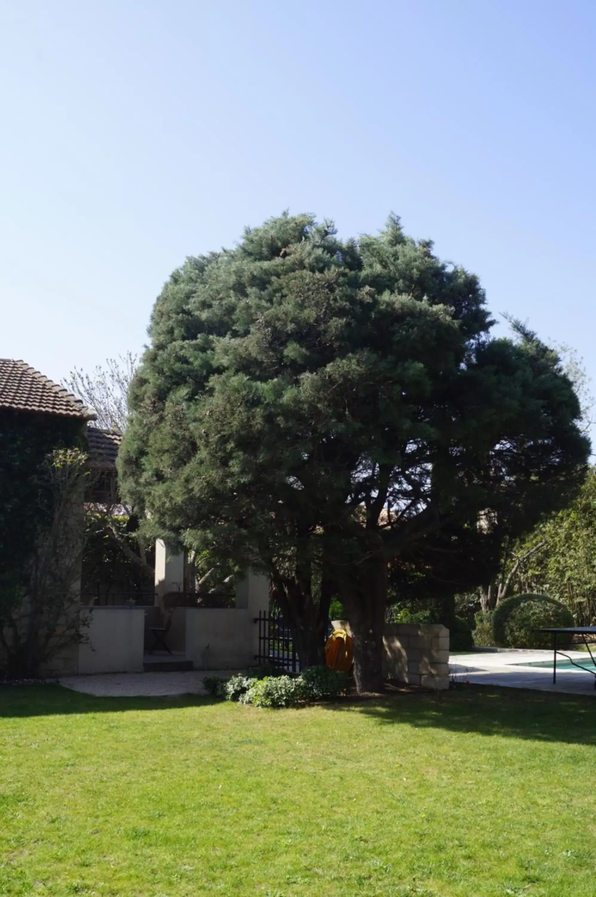 Garden in Domaine de la Girafe