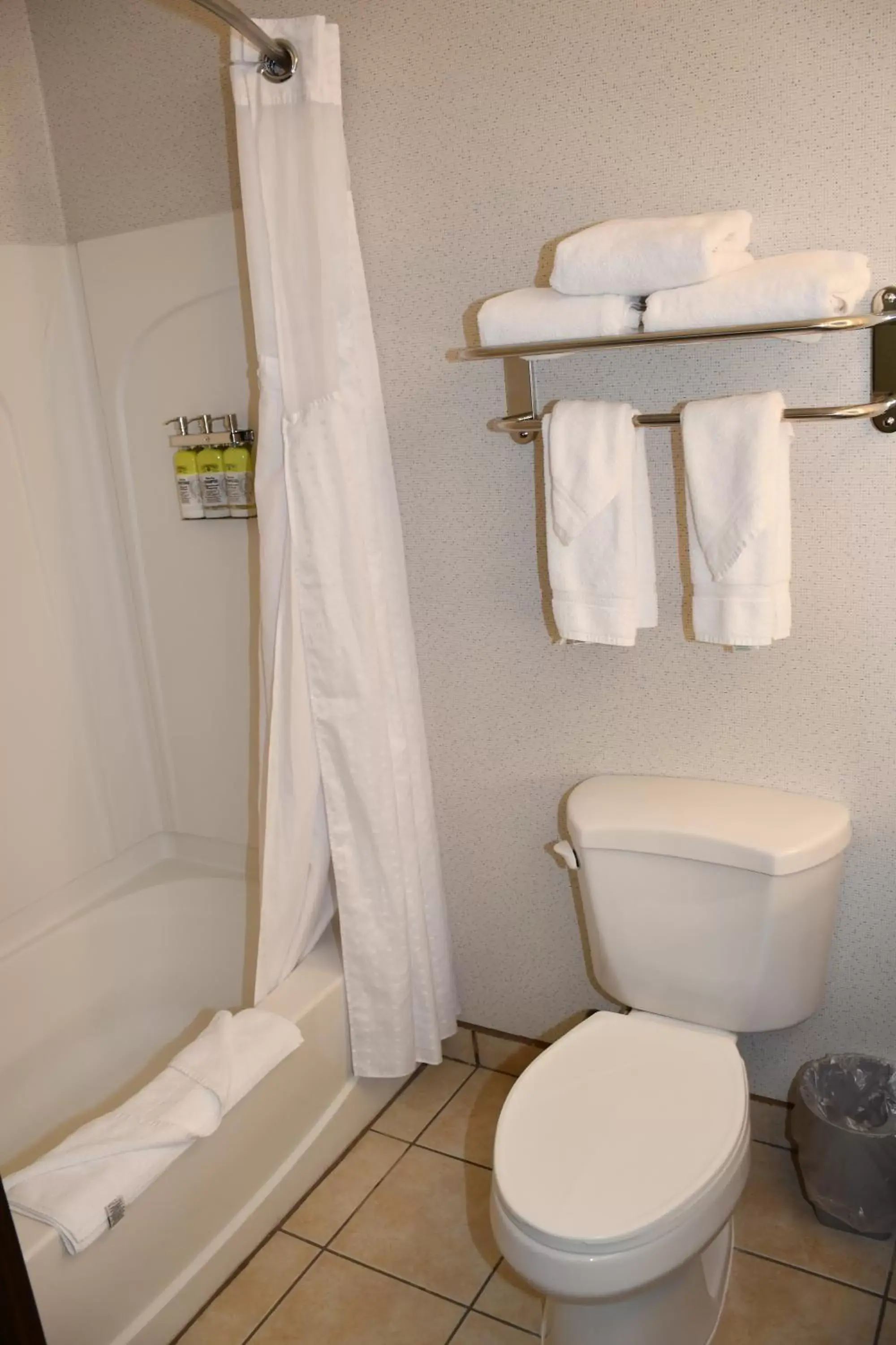 Bathroom in Holiday Inn Express Hotel & Suites Evanston, an IHG Hotel