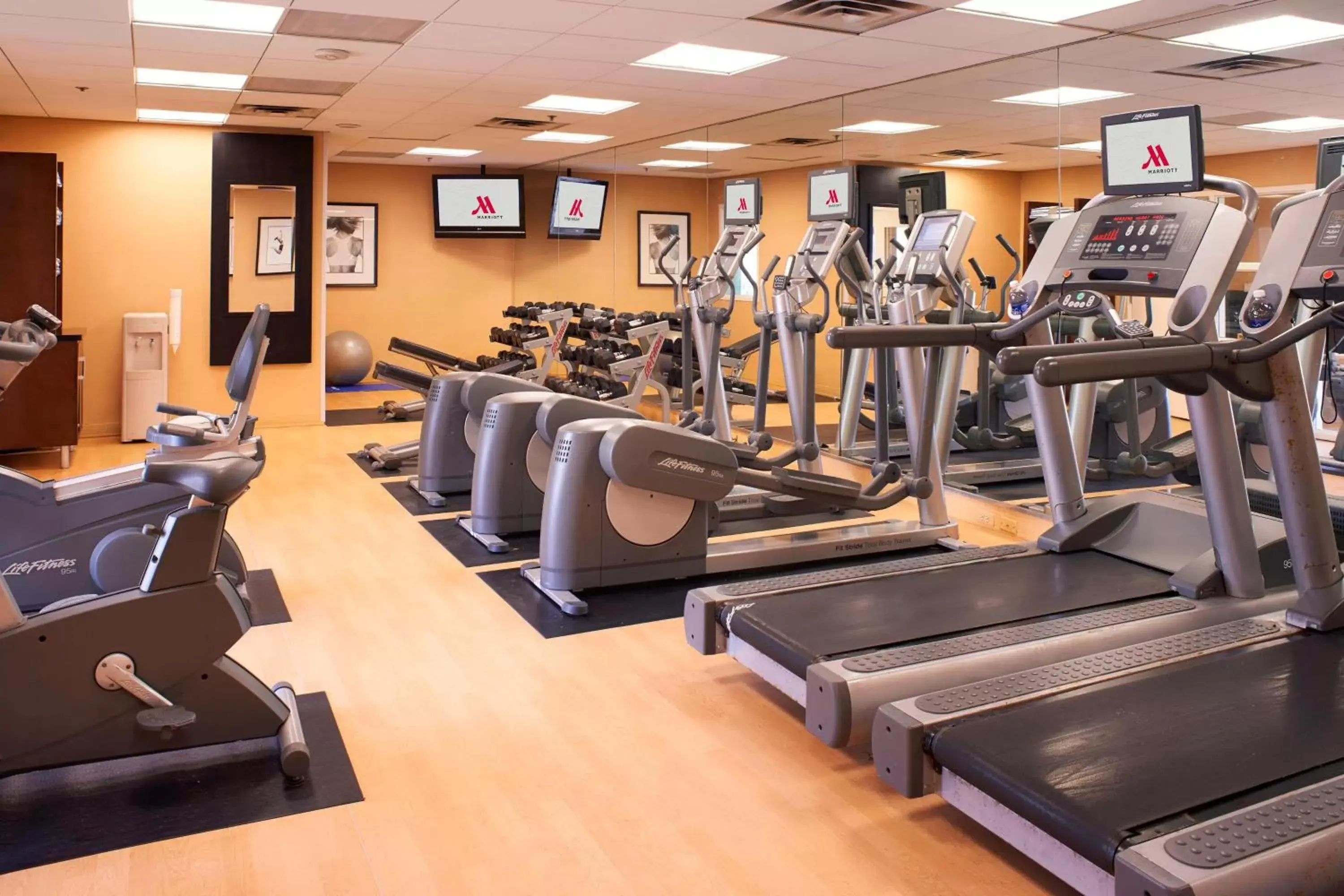 Fitness centre/facilities, Fitness Center/Facilities in Detroit Metro Airport Marriott