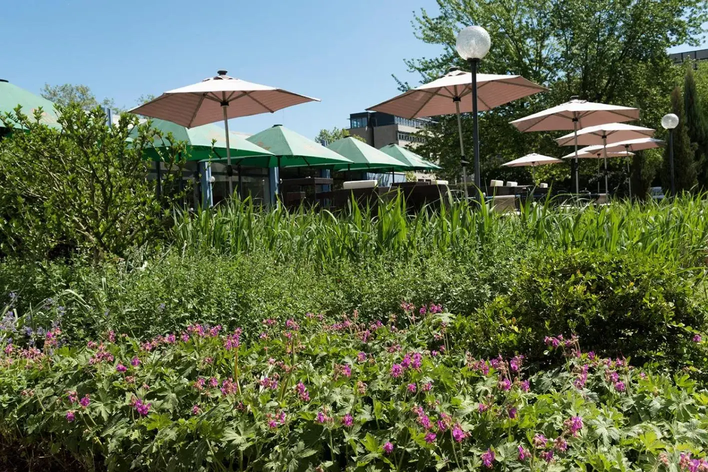 Garden, Property Building in Mercure Hotel Mannheim am Friedensplatz