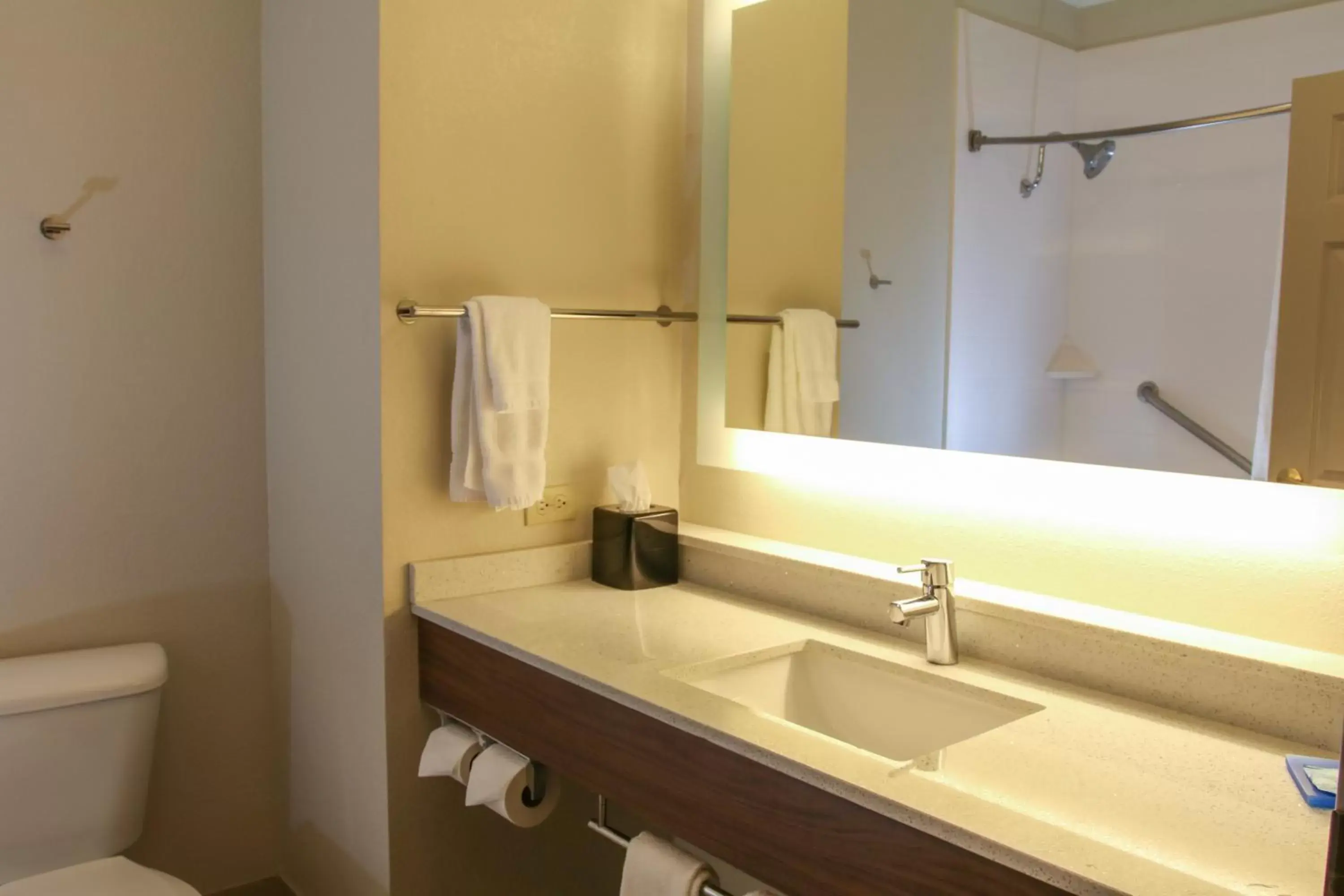 Bathroom in Holiday Inn Express Hotel & Suites Mount Pleasant, an IHG Hotel