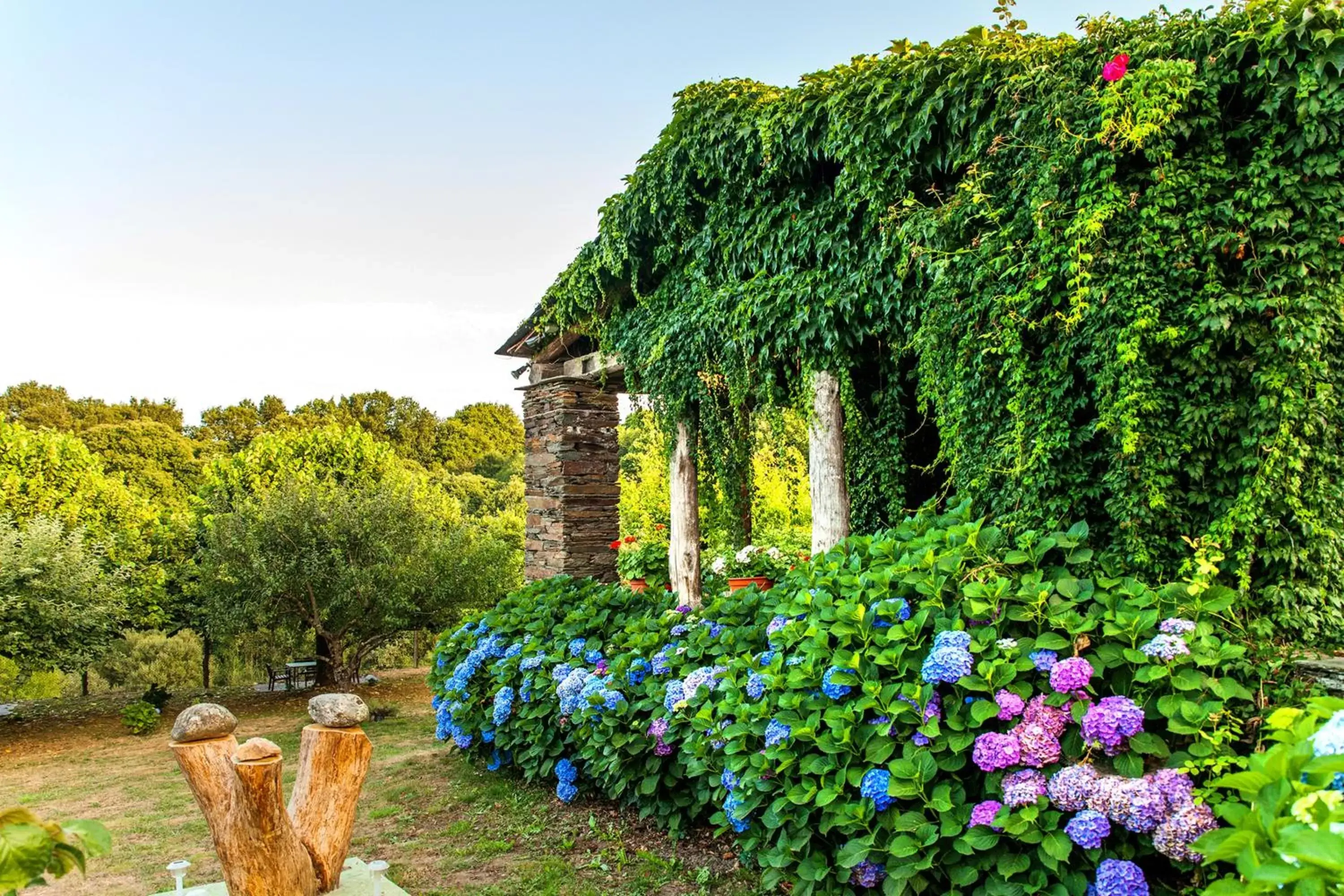 Natural landscape, Garden in Hotel Casa de Díaz