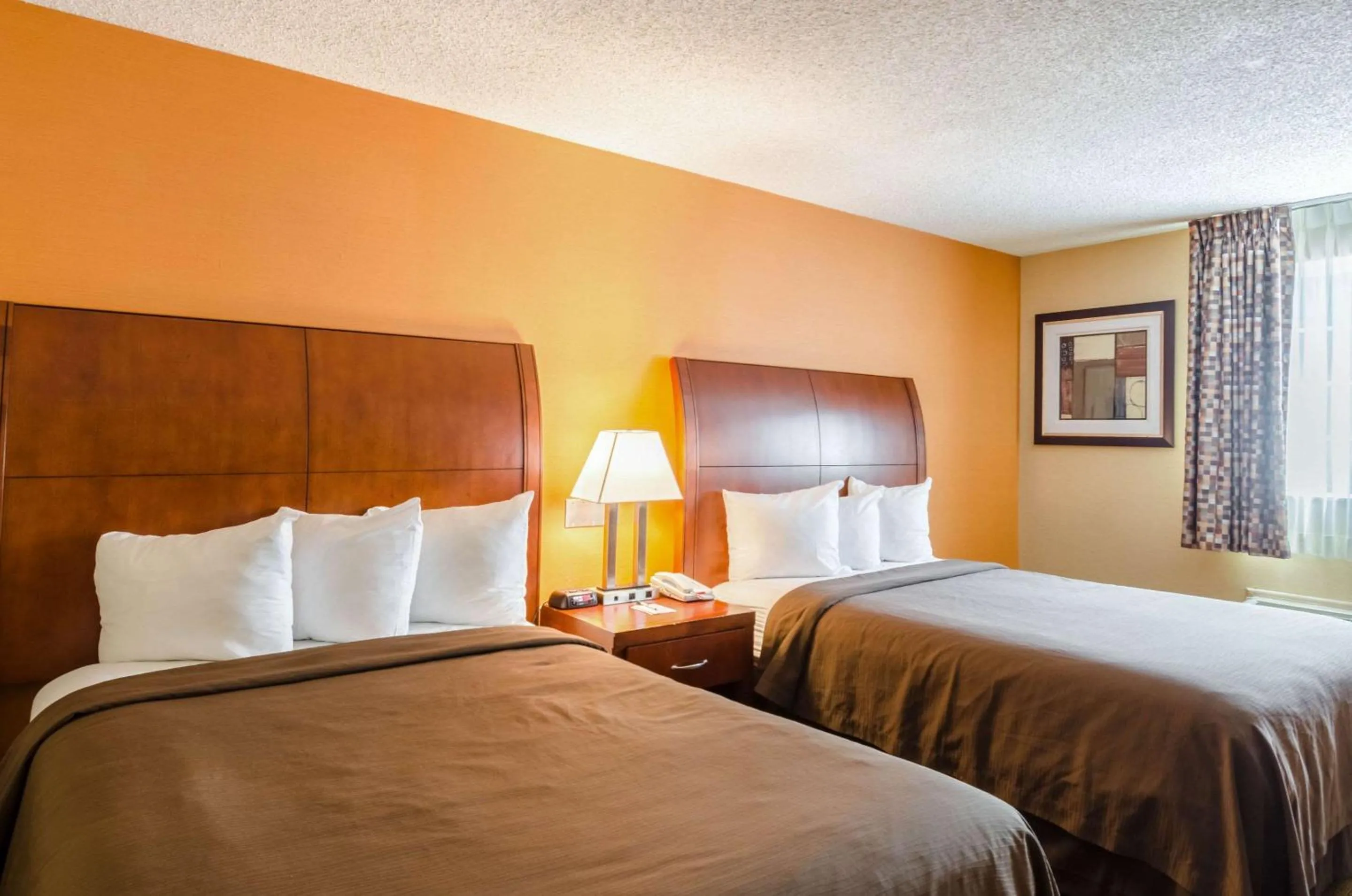 Photo of the whole room, Bed in Quality Inn Chicopee-Springfield